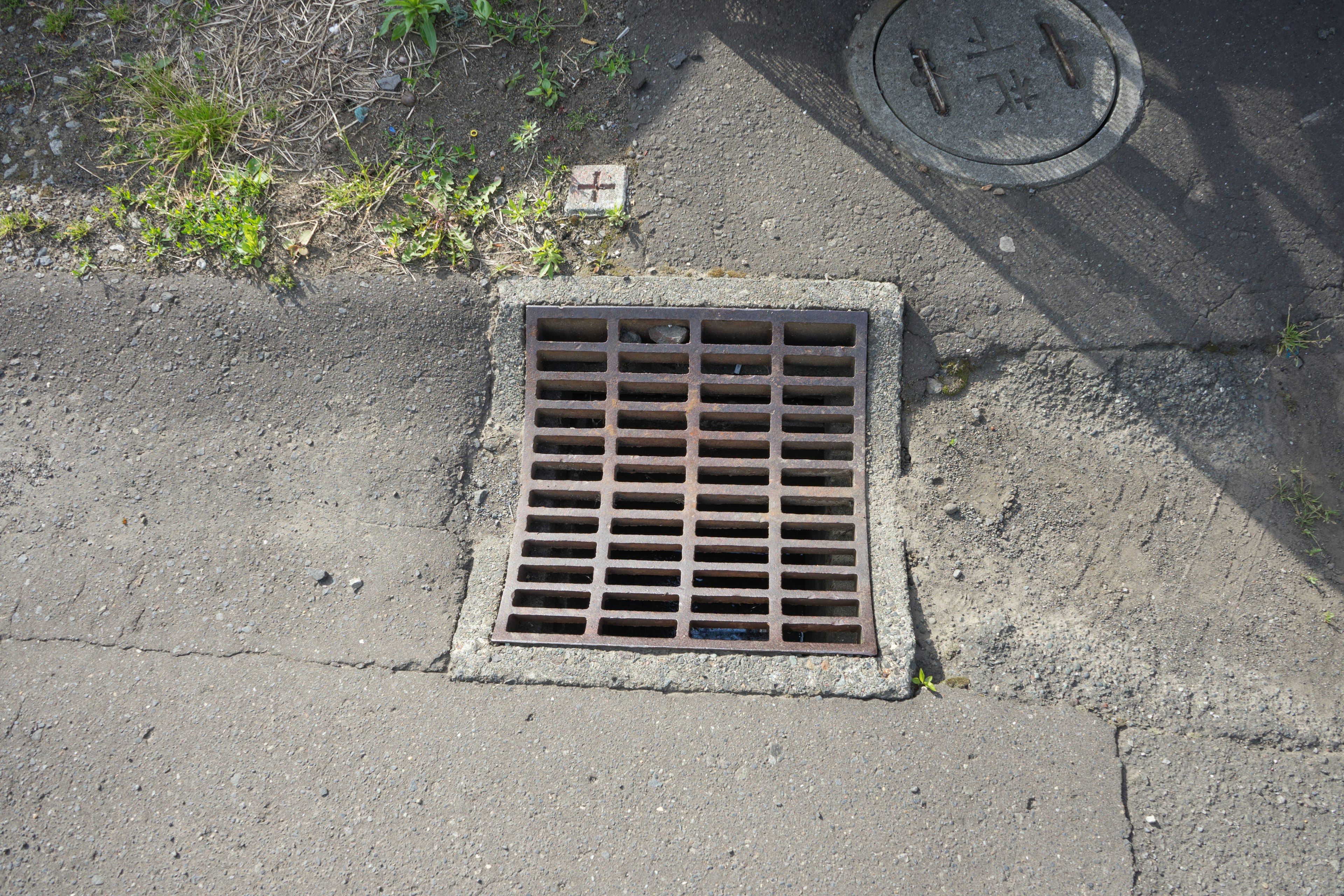 Metal grid drain cover on sidewalk surrounded by grass