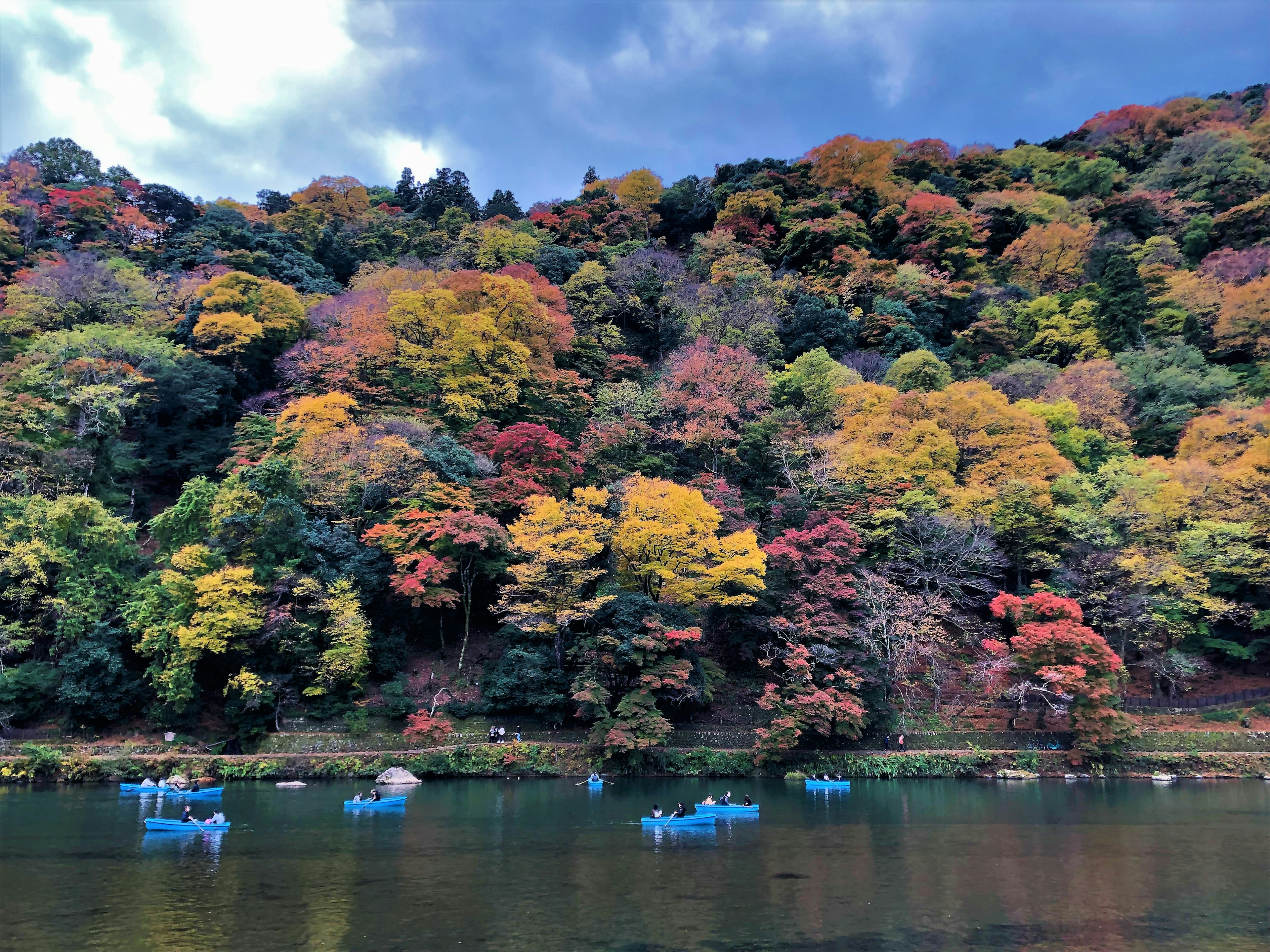 秋天的色彩斑斓的树木和湖泊的风景