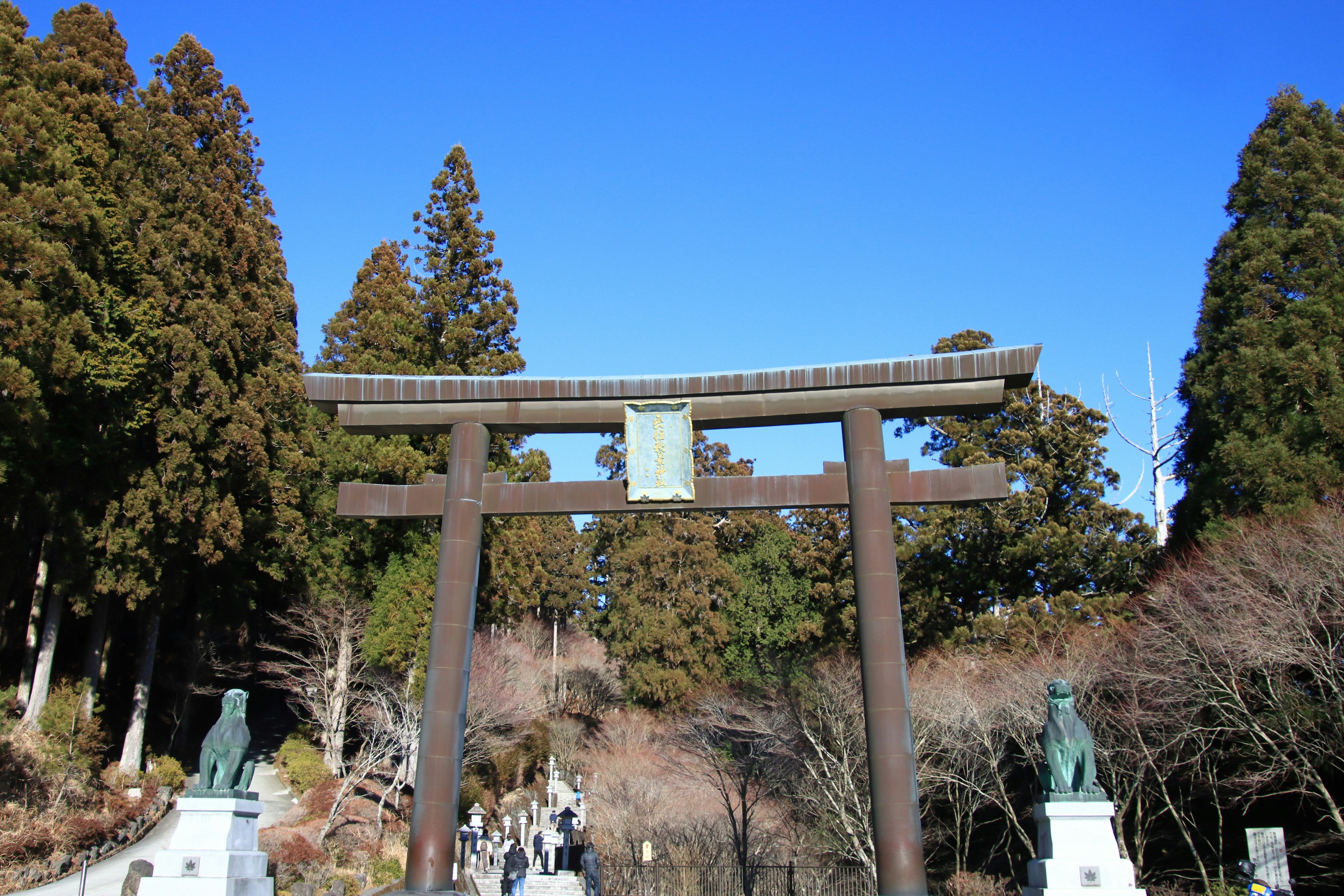 Gerbang torii besar di bawah langit biru dikelilingi pepohonan