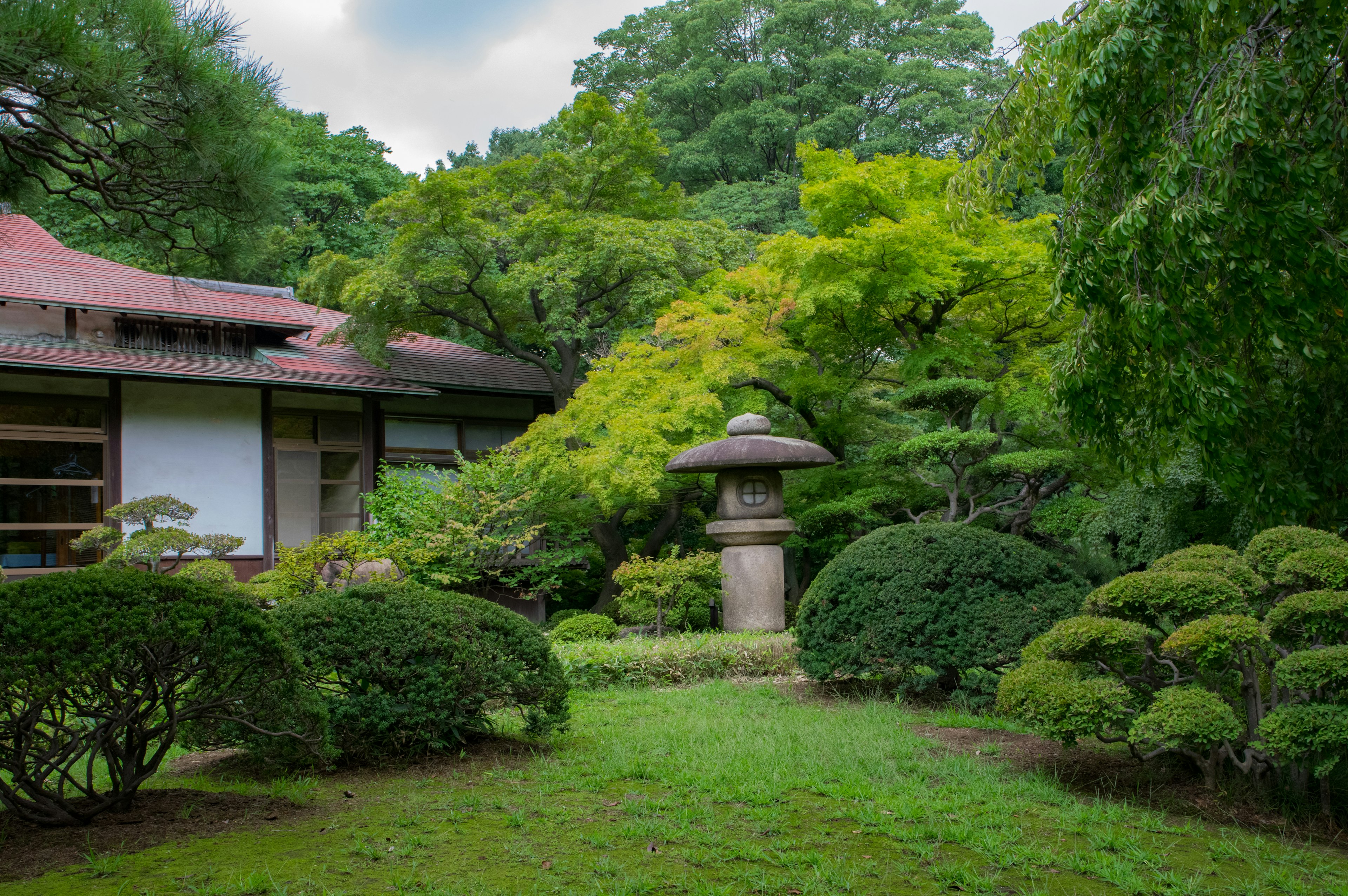 Ruhige japanische Gartenlandschaft mit üppigem Grün und einer Steinkleuchte