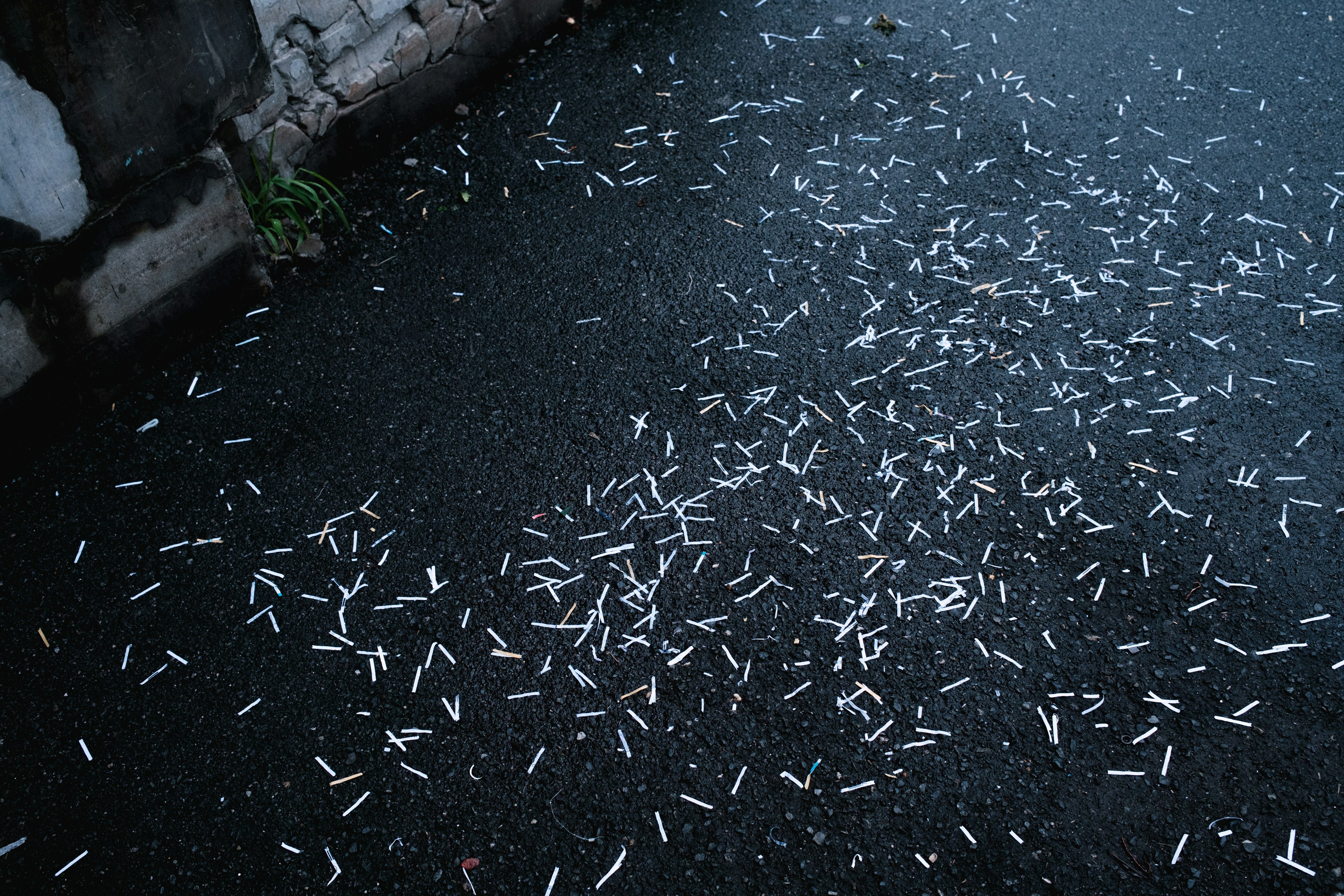 Scattered white stick-like objects on a dark pavement