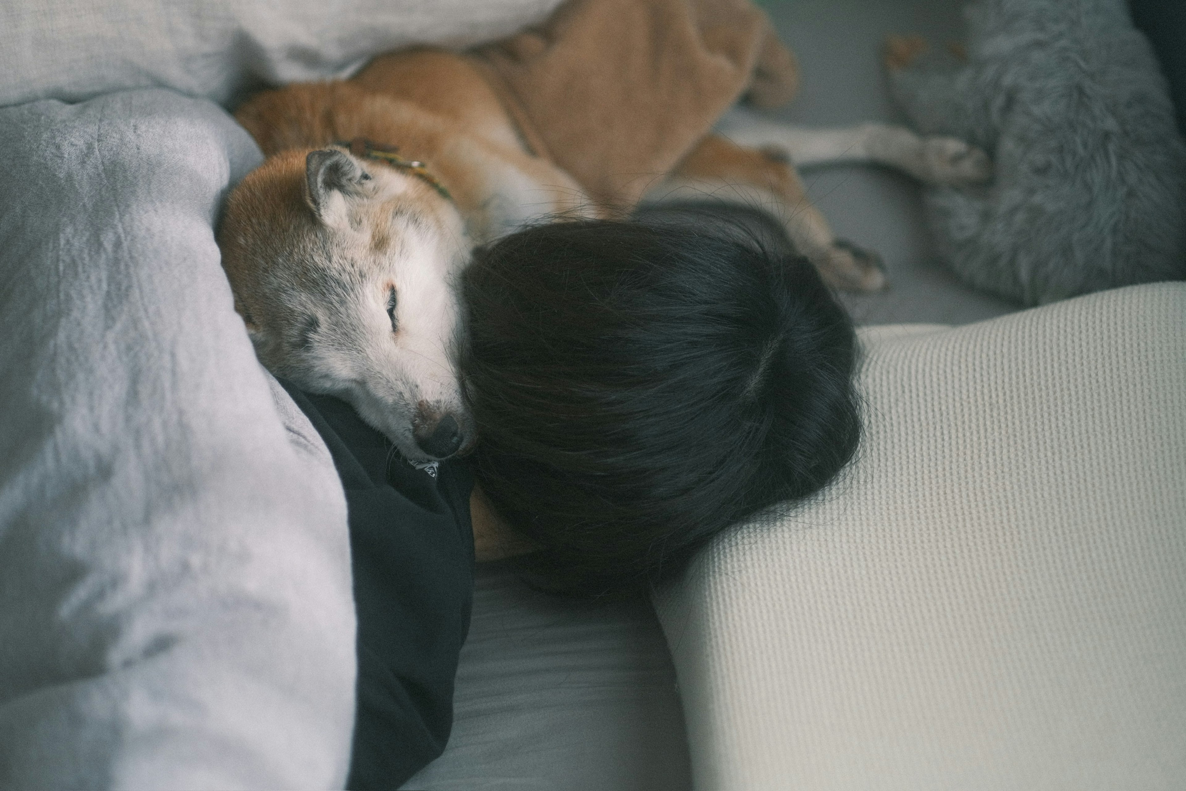 A person sleeping next to a dog in a cozy setting