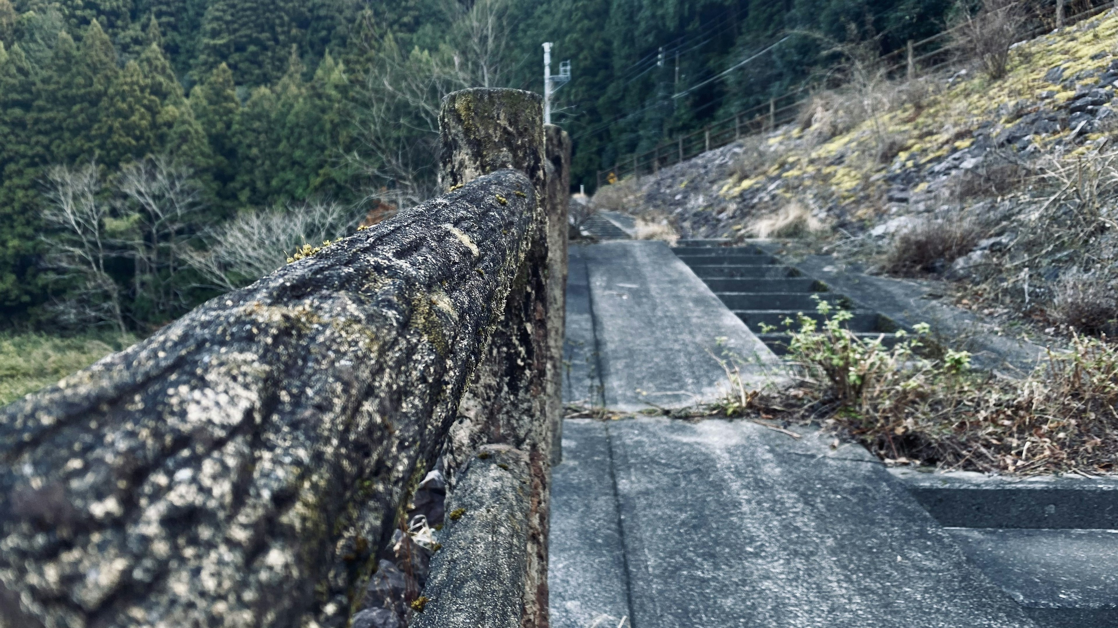 Landschaft mit einem alten Betonweg und einem moosbedeckten Holzzaun