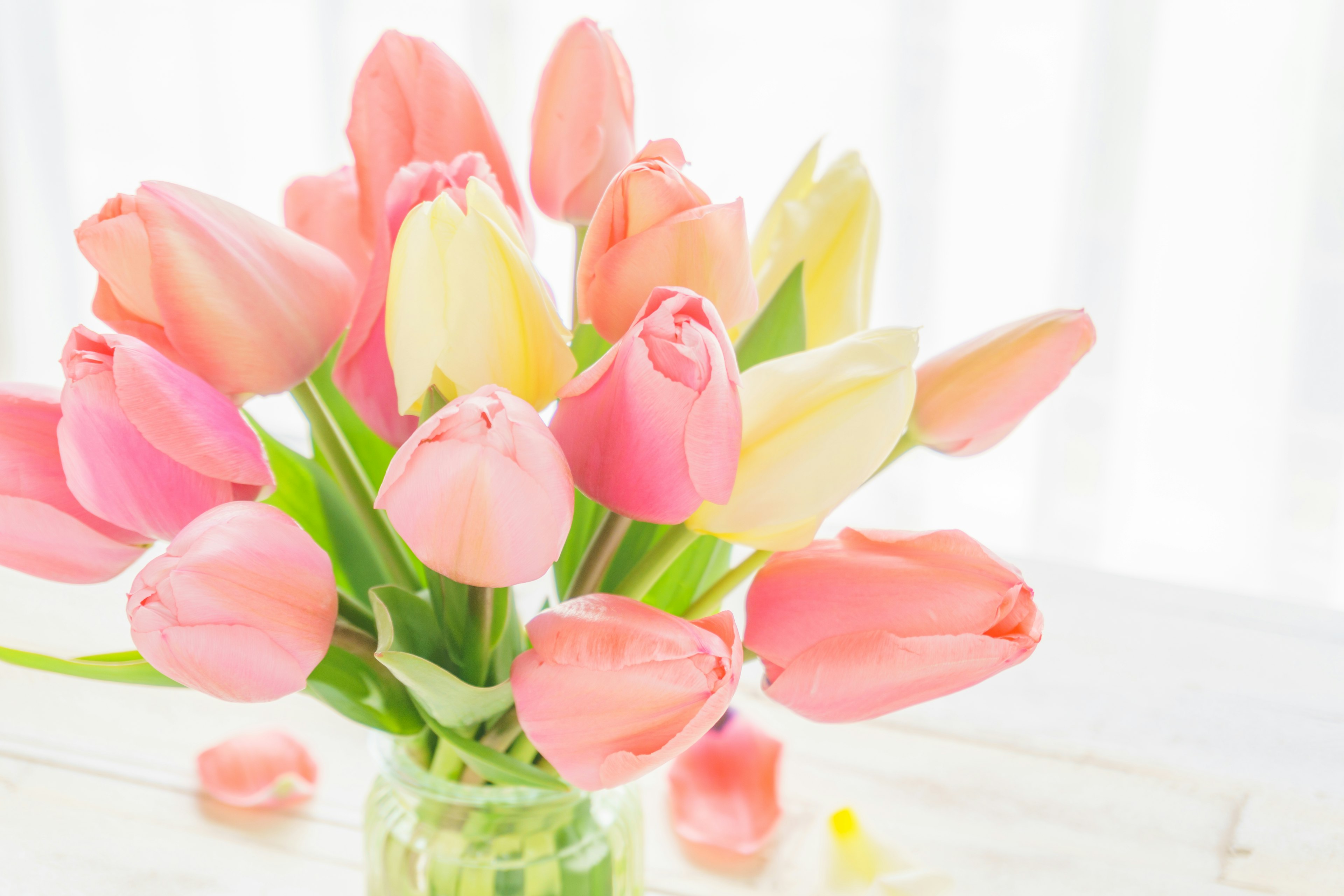 Un mazzo di tulipani rosa e gialli sistemati in un vaso di vetro vicino a una finestra luminosa