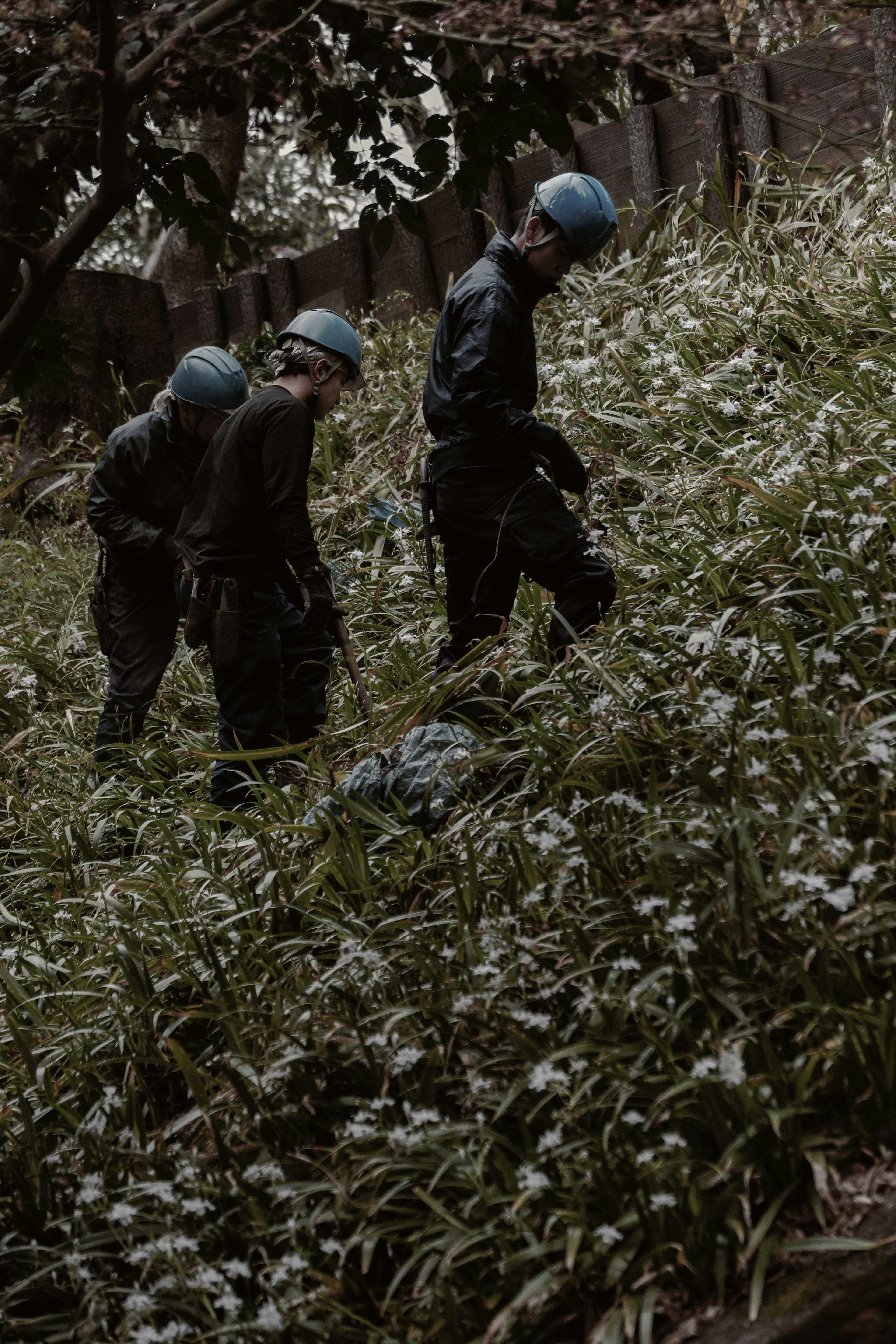 Trois ouvriers portant des casques bleus marchant sur une colline couverte de fleurs
