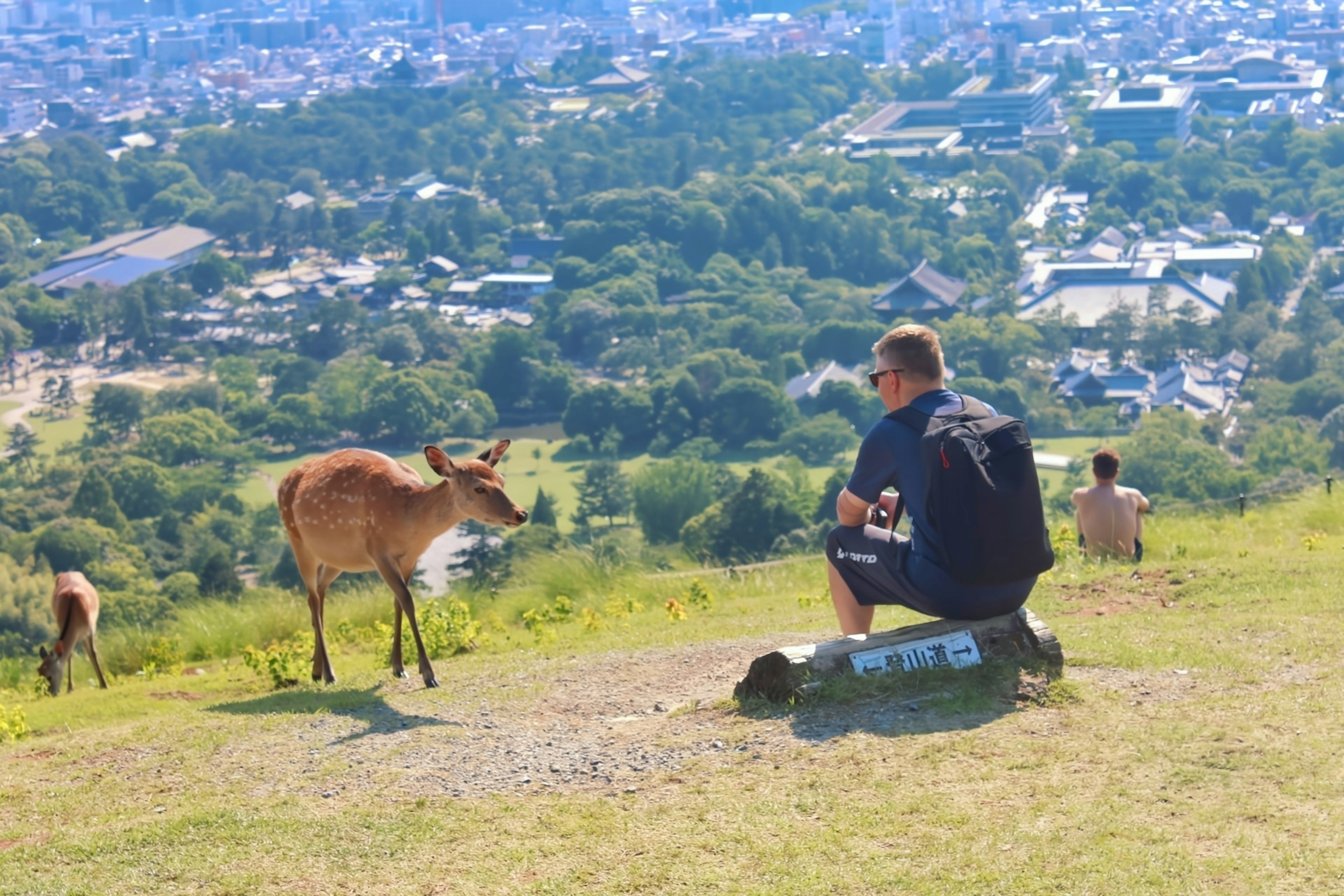 Un uomo seduto su una collina che interagisce con un cervo con vista su un paesaggio urbano