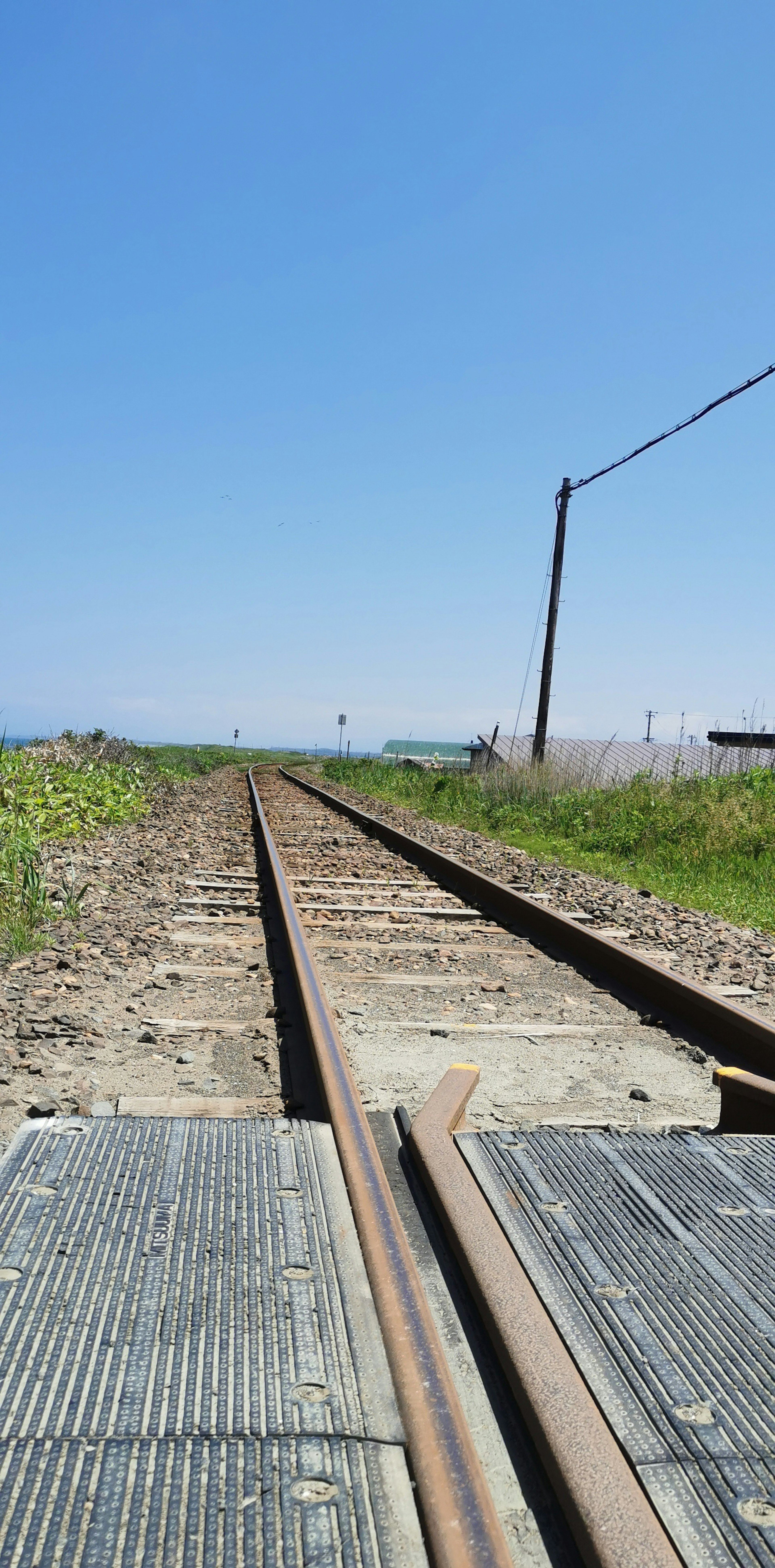 青空の下の鉄道の線路と周囲の草地