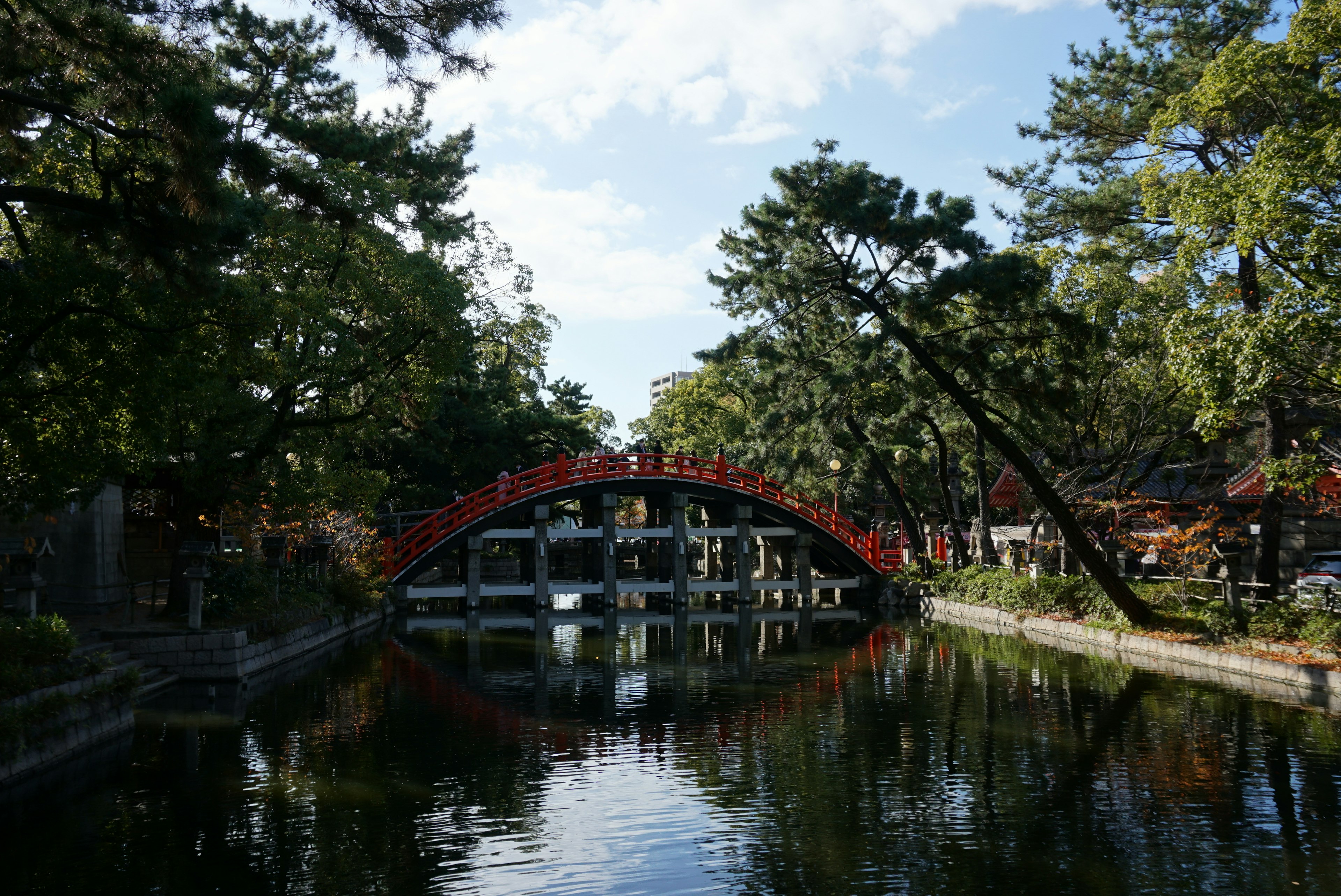 宁静池塘上方的红色桥梁与郁郁葱葱的绿地背景