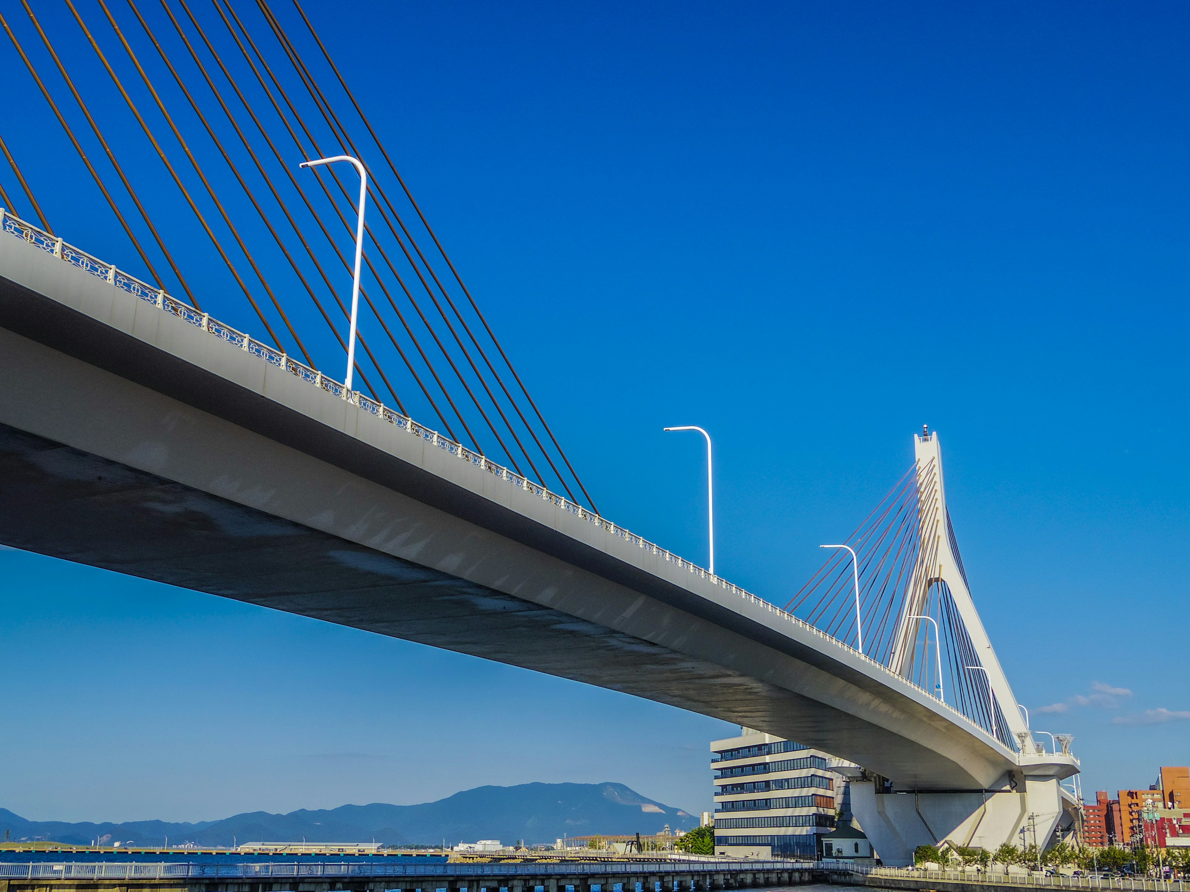 Modern bridge with cables against a clear blue sky