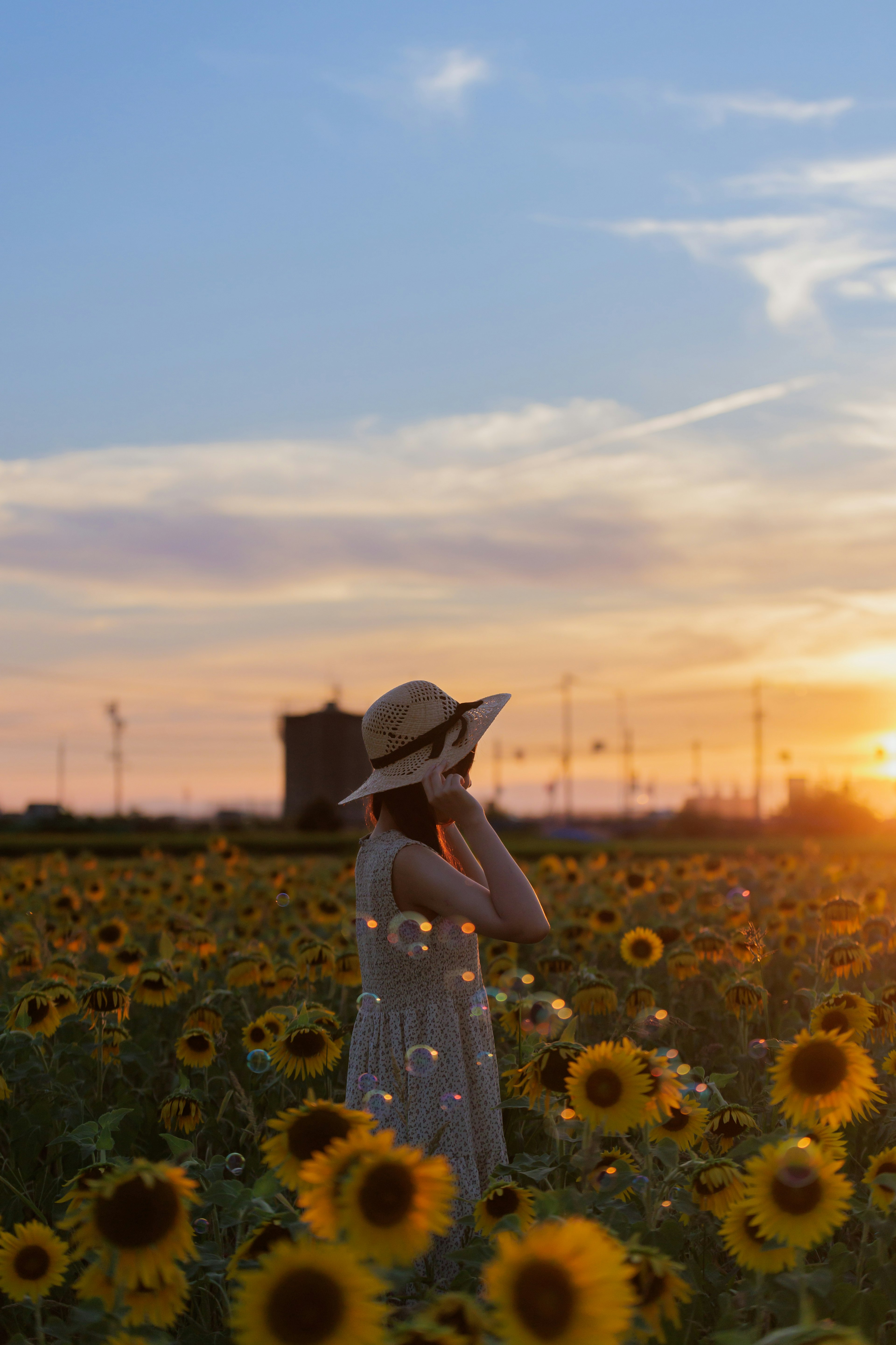 夕日を背景に日向に立つ女性がひまわりの中にいる