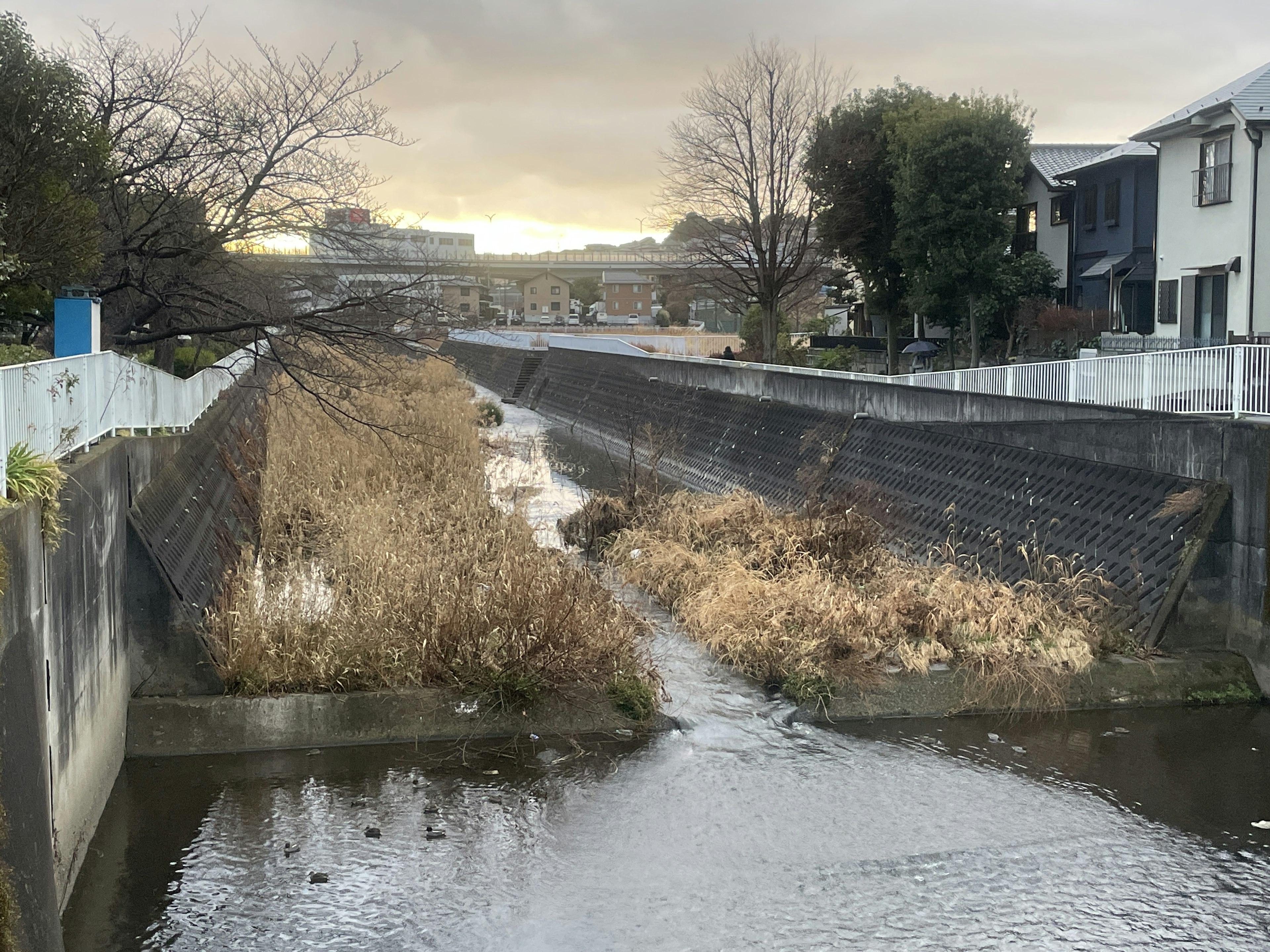 Une vue d'une rivière avec de l'herbe sèche le long des rives