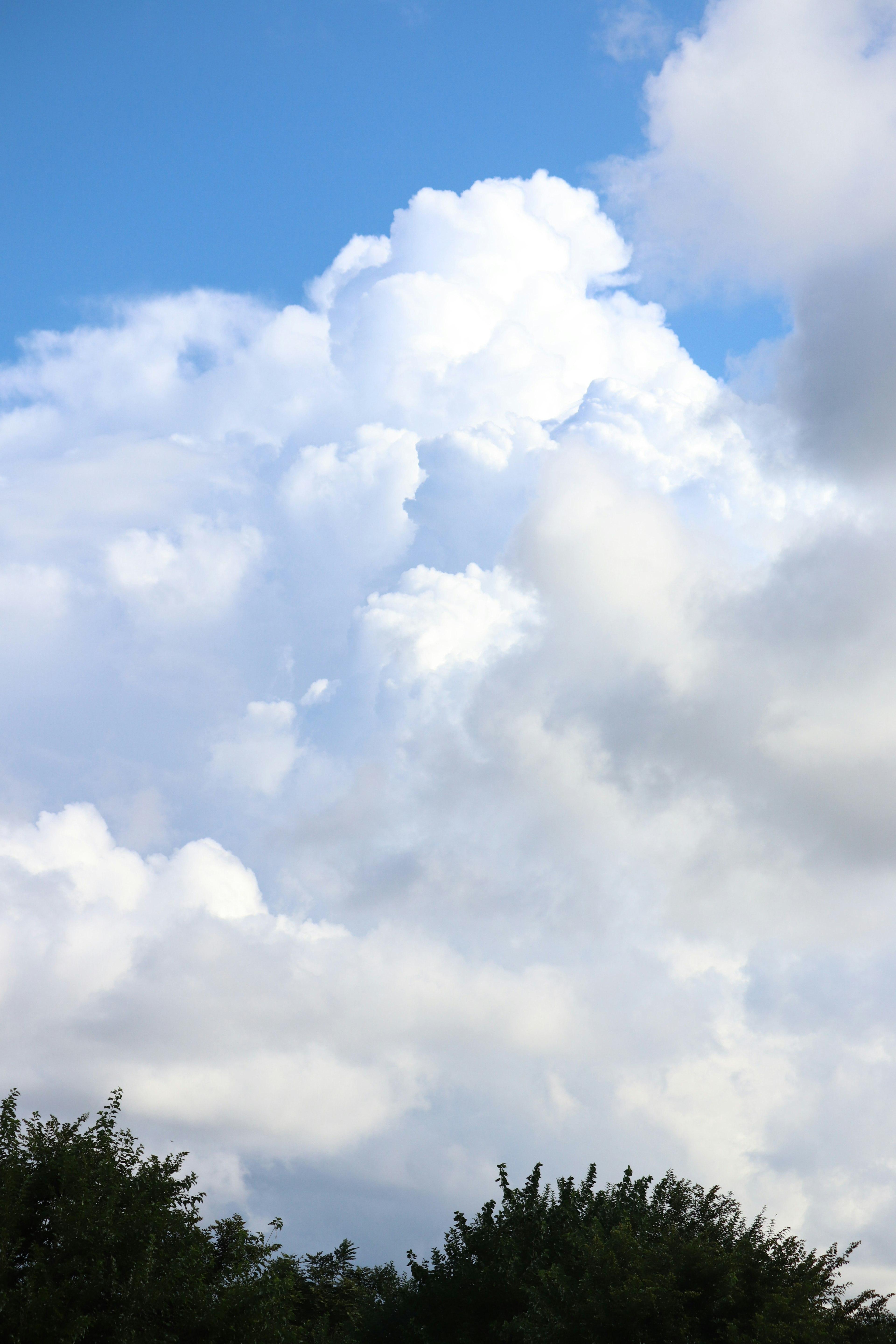 Pemandangan indah dengan kontras langit biru dan awan putih