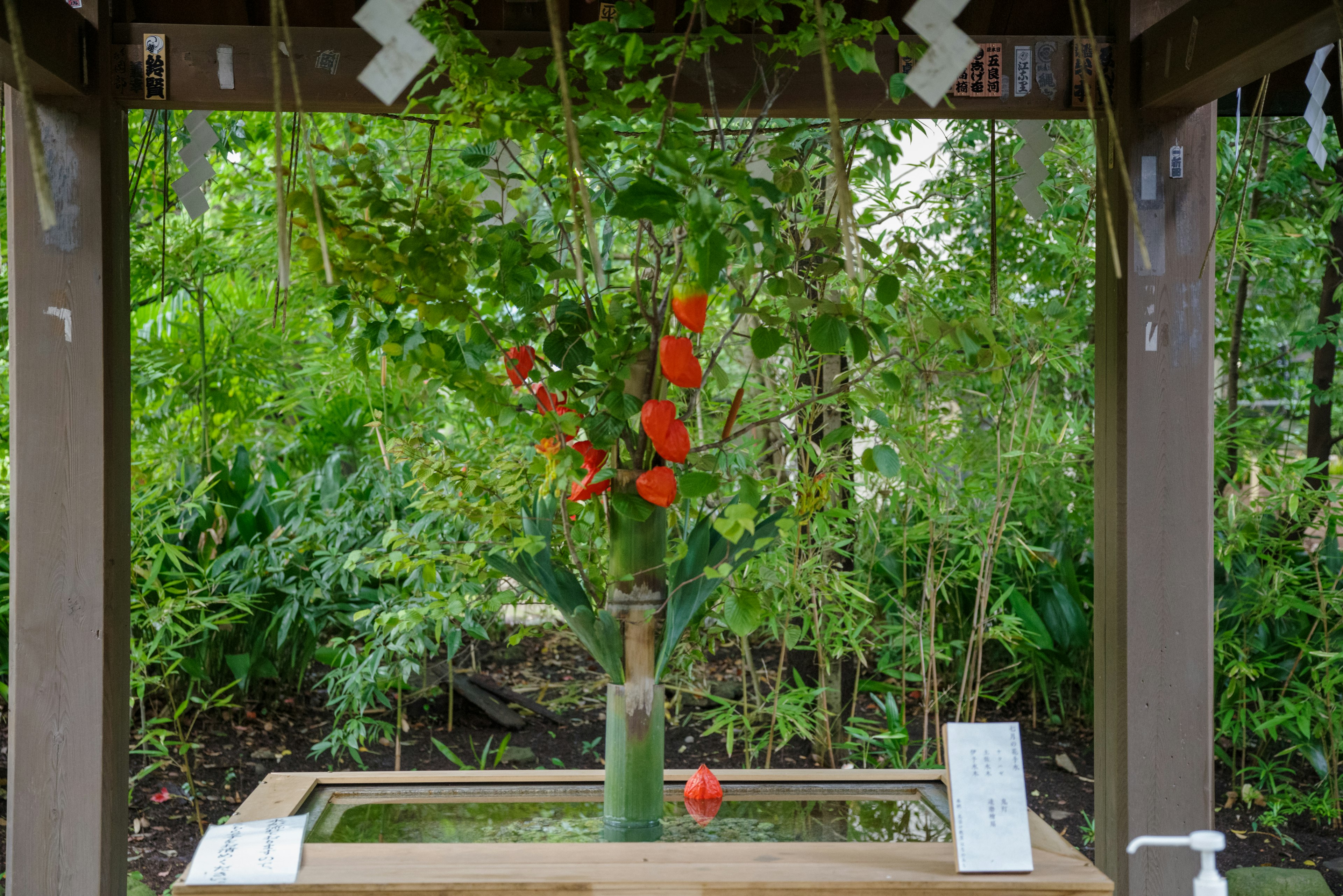 Schöne Anordnung roter Blumen in einem Pavillon, umgeben von Grün