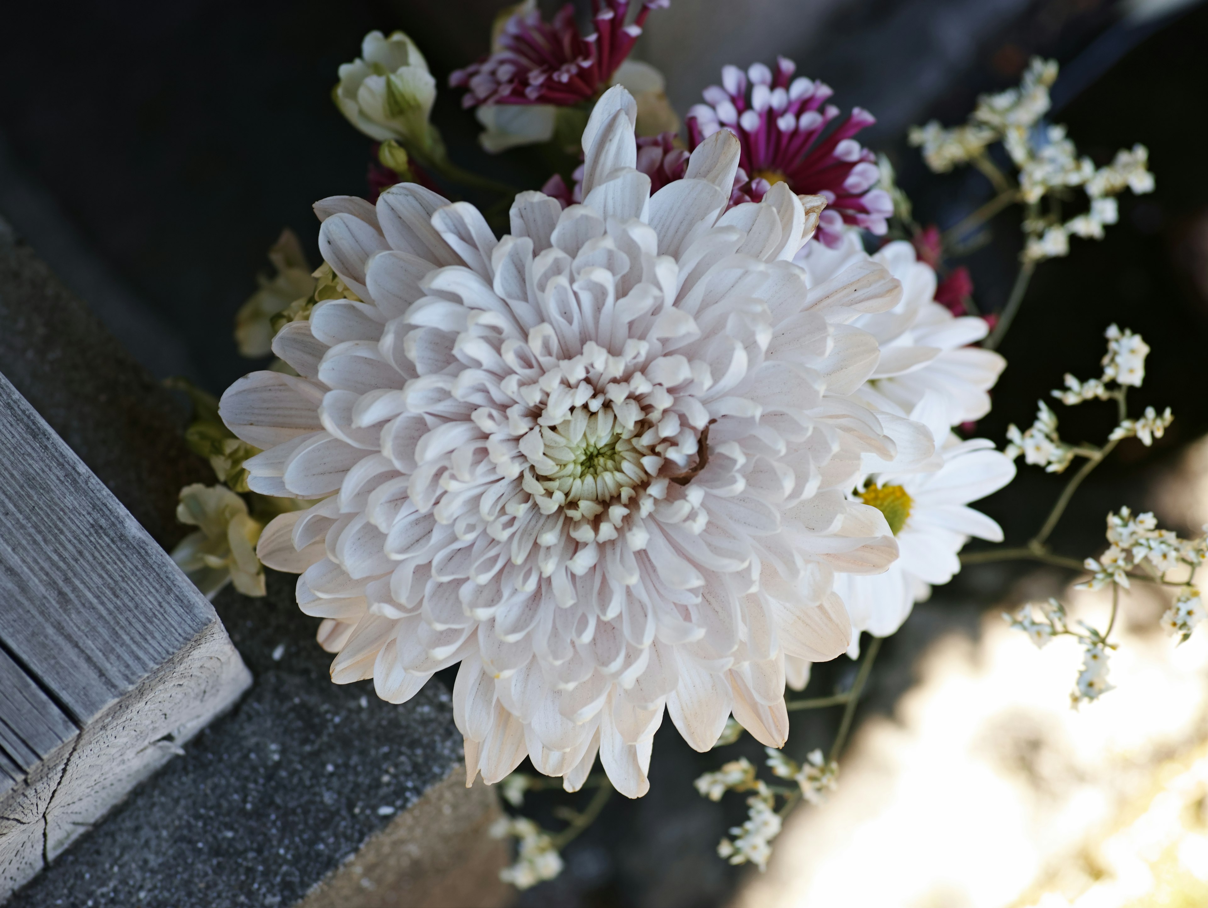 Primo piano di un crisantemo bianco e un piccolo mazzo di fiori