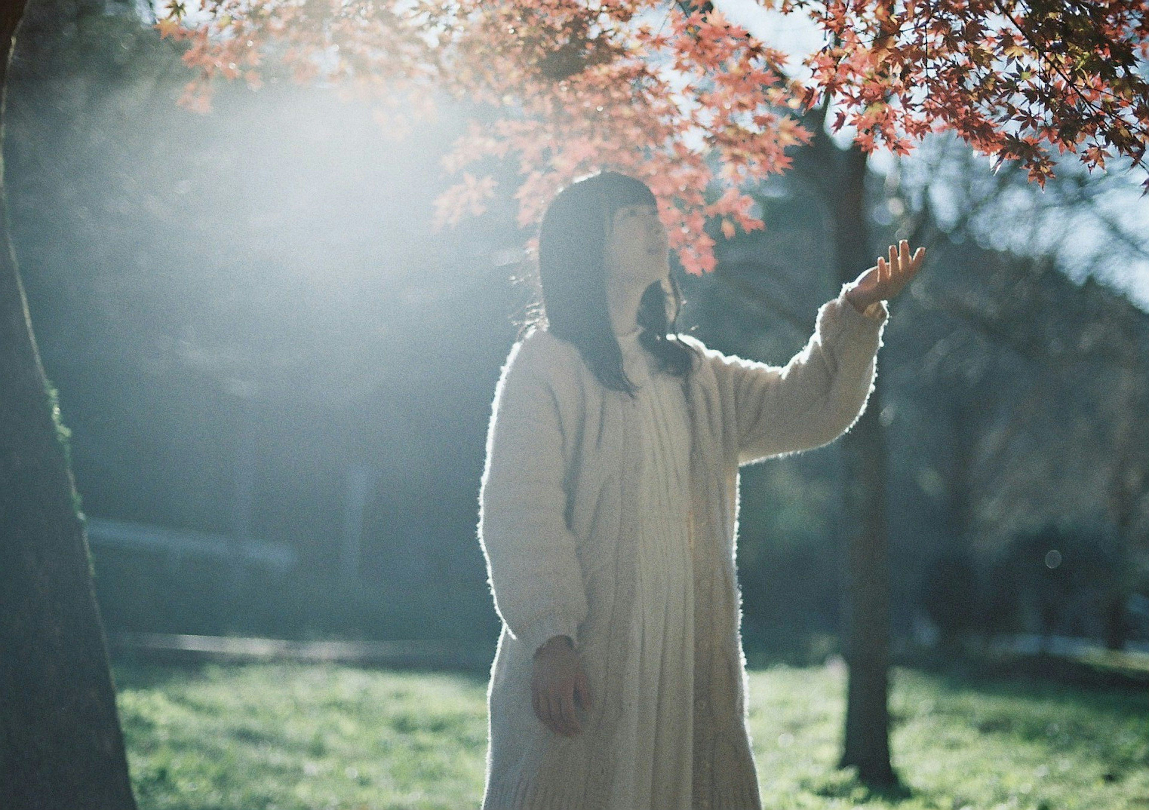 Frau, die unter einem Baum in sanftem Licht des Herbstes nach oben greift