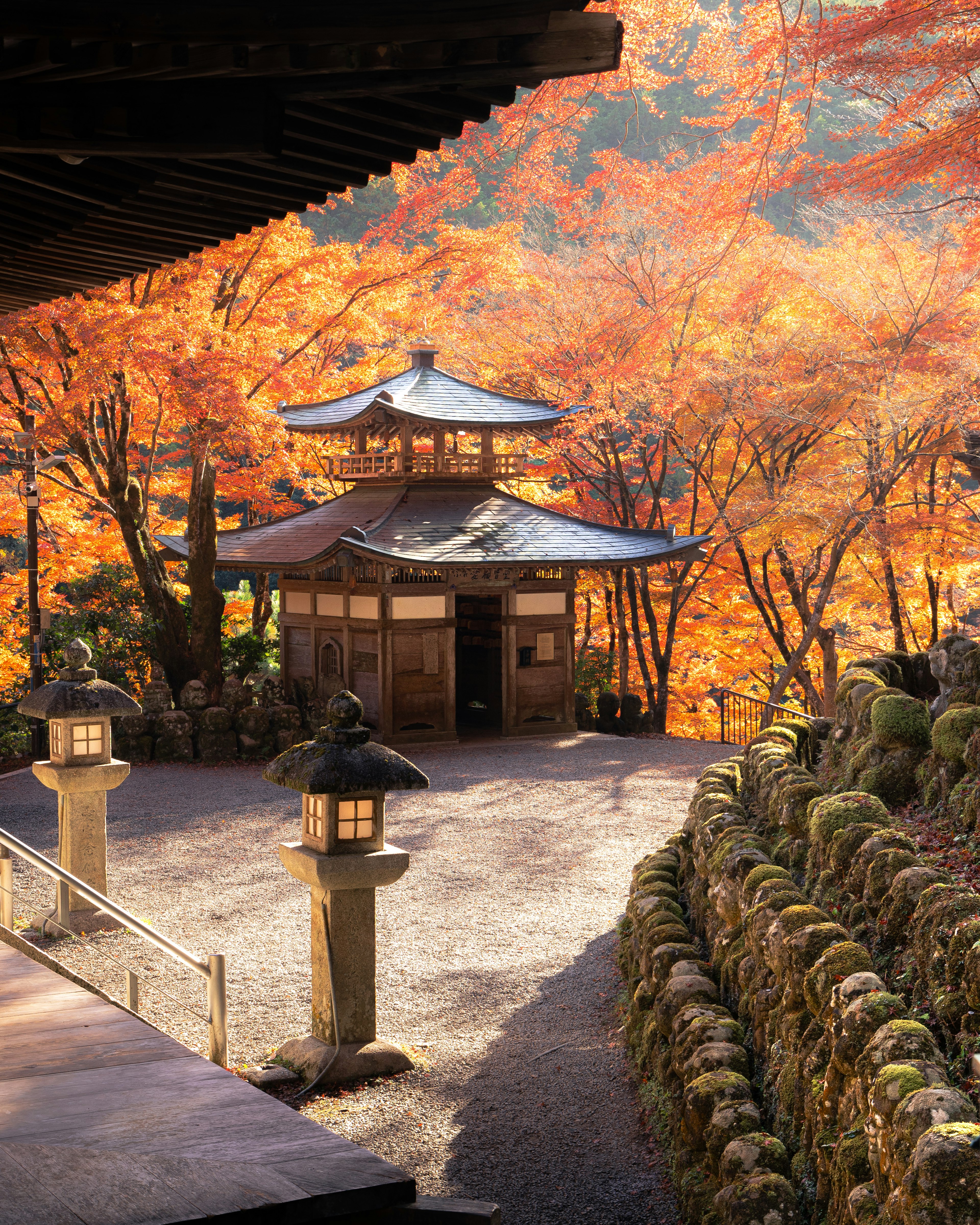 Traditional Japanese building surrounded by vibrant autumn foliage