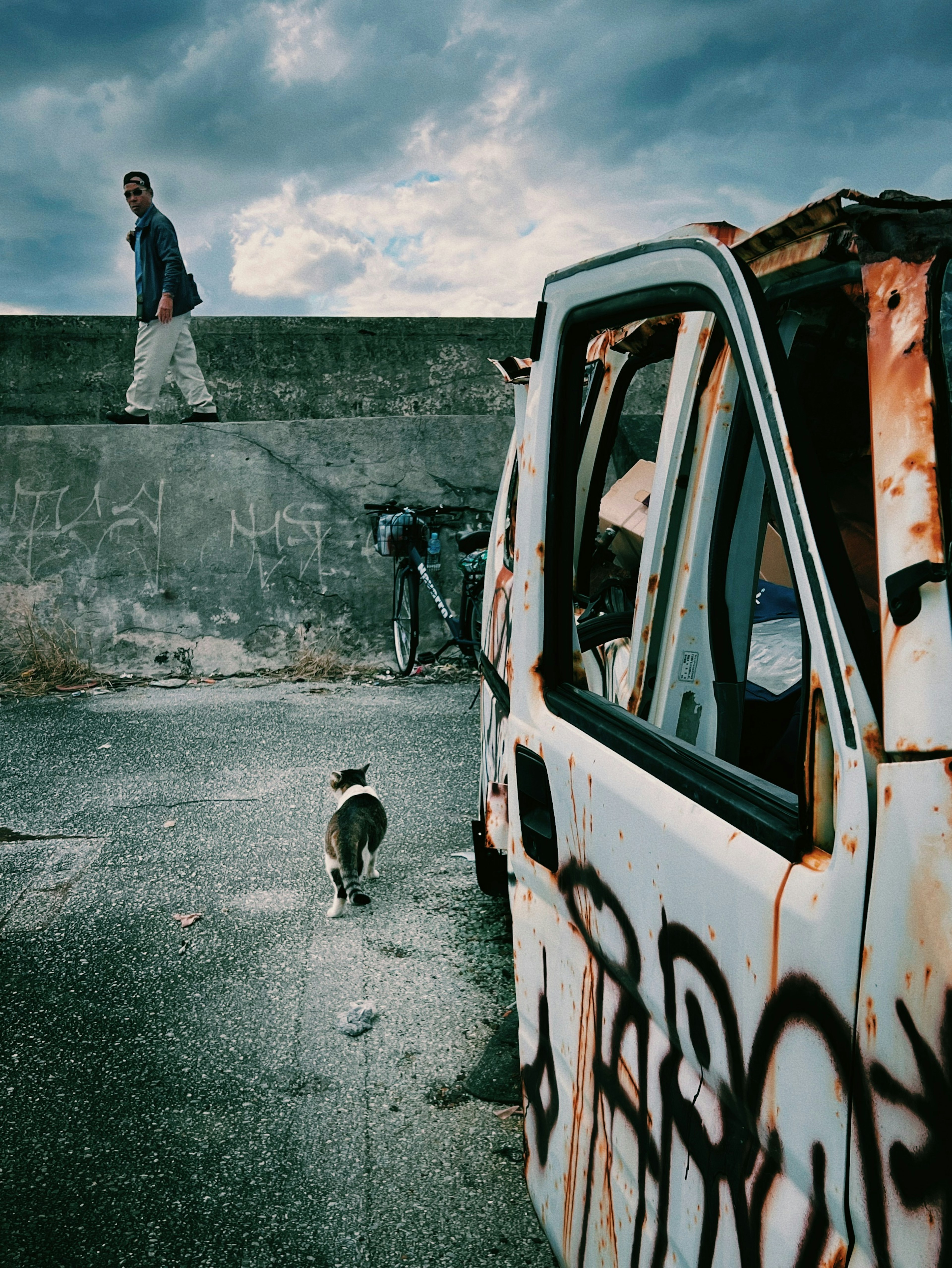 A photo featuring a rusty abandoned car with graffiti and a cat walking nearby under a cloudy sky