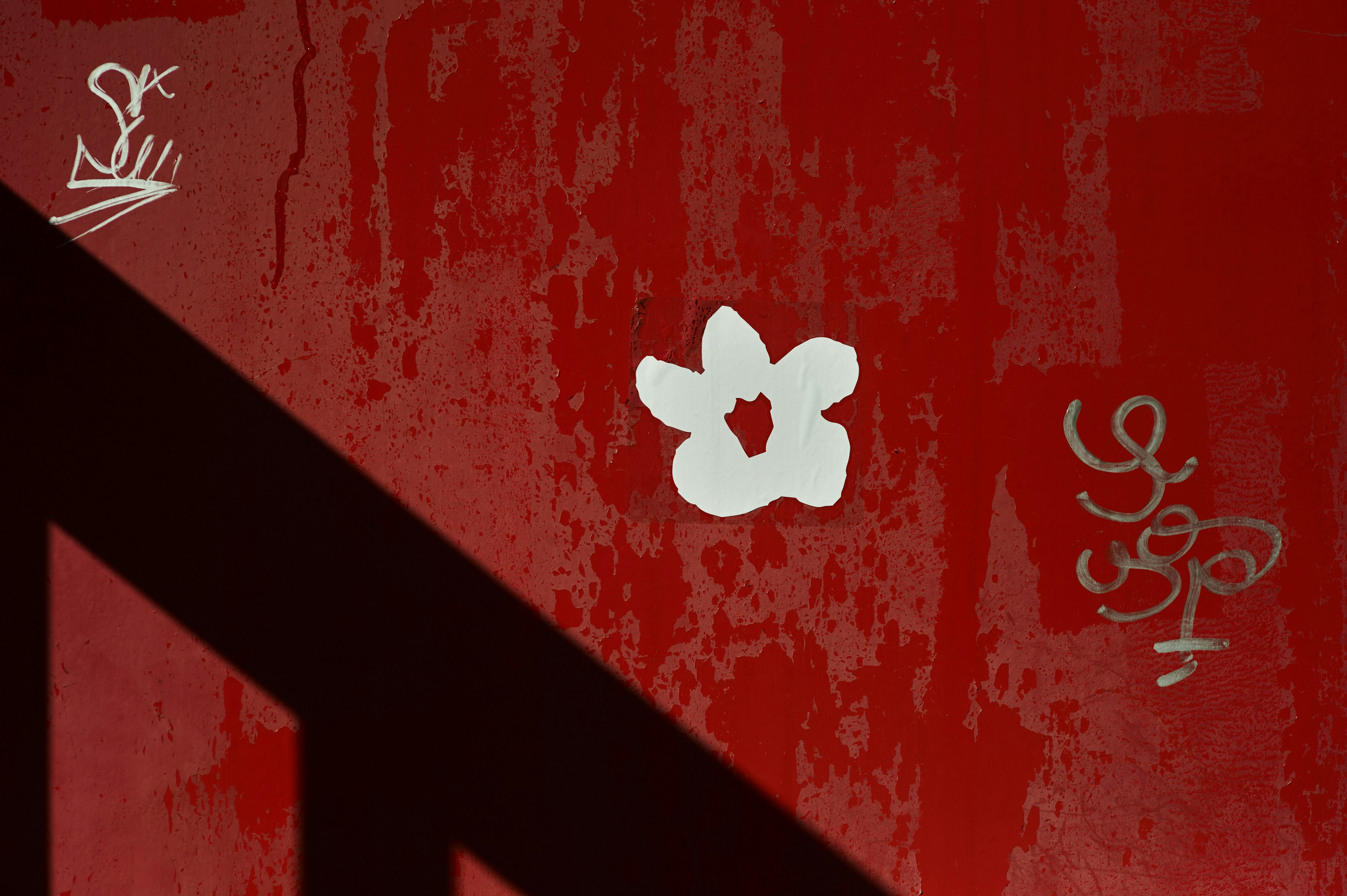 Abstract design on a red wall featuring a white flower and unique patterns