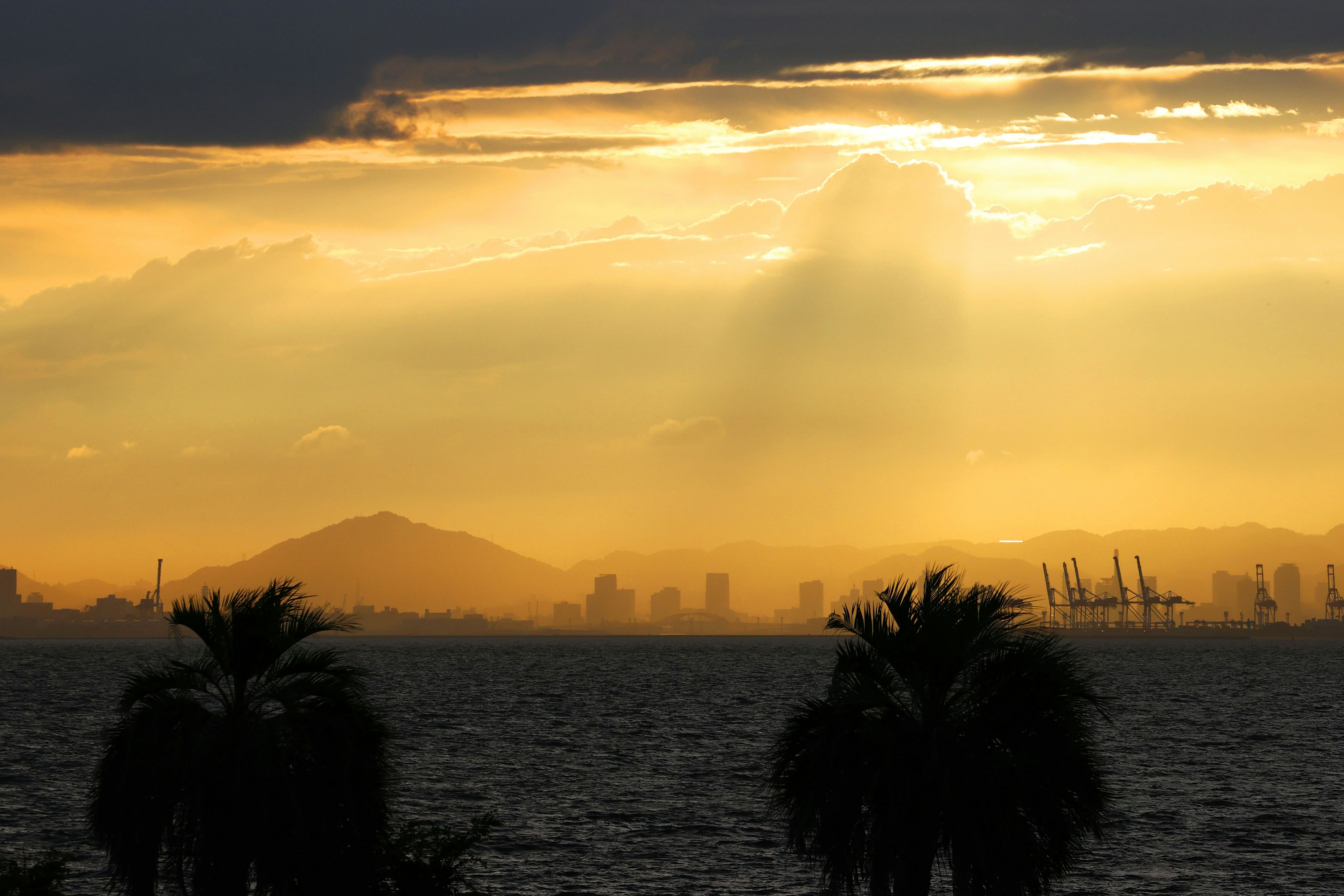 Silhouette of palm trees against a sunset over the sea with distant mountains