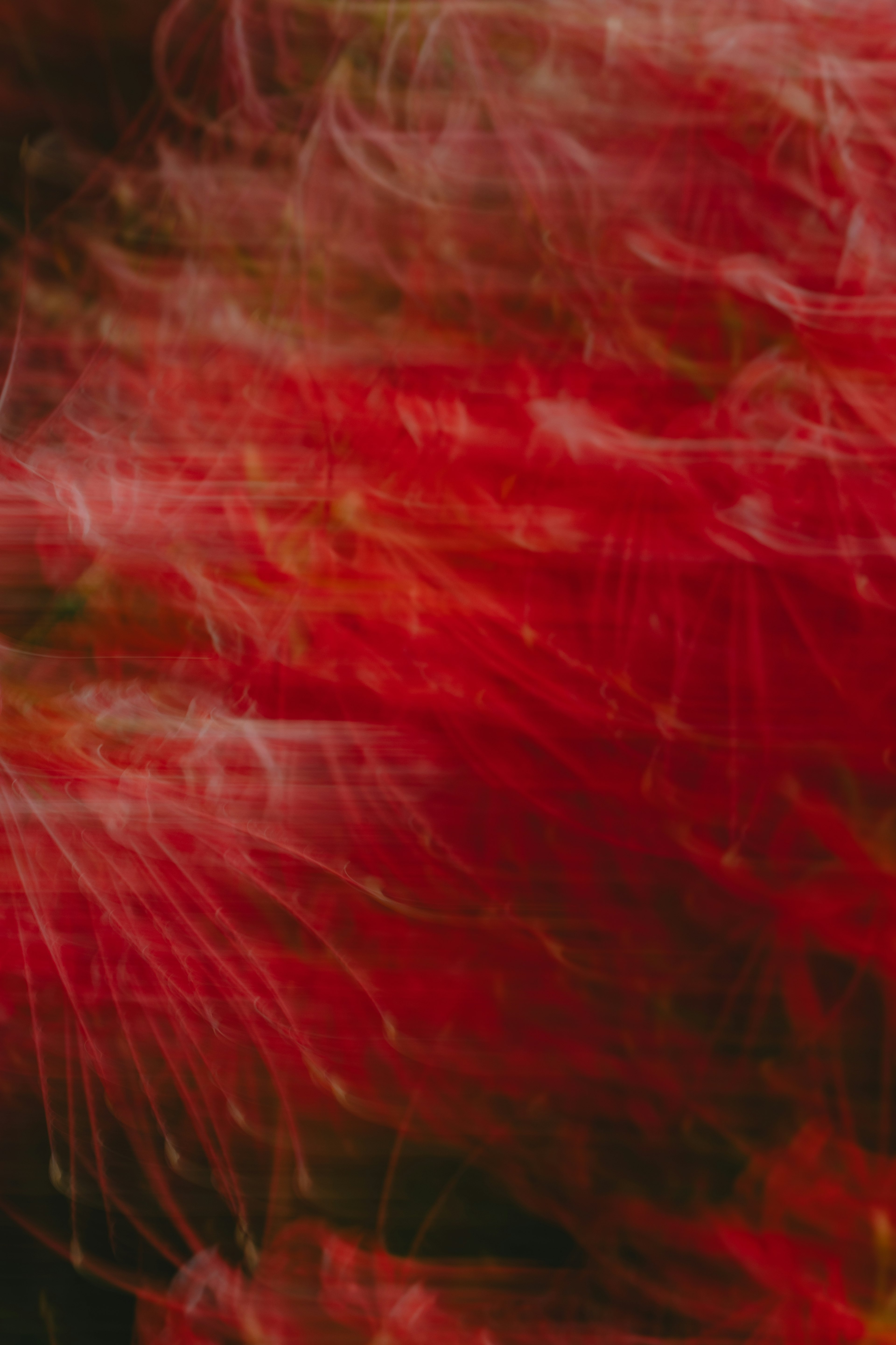 Abstract image with swirling red patterns