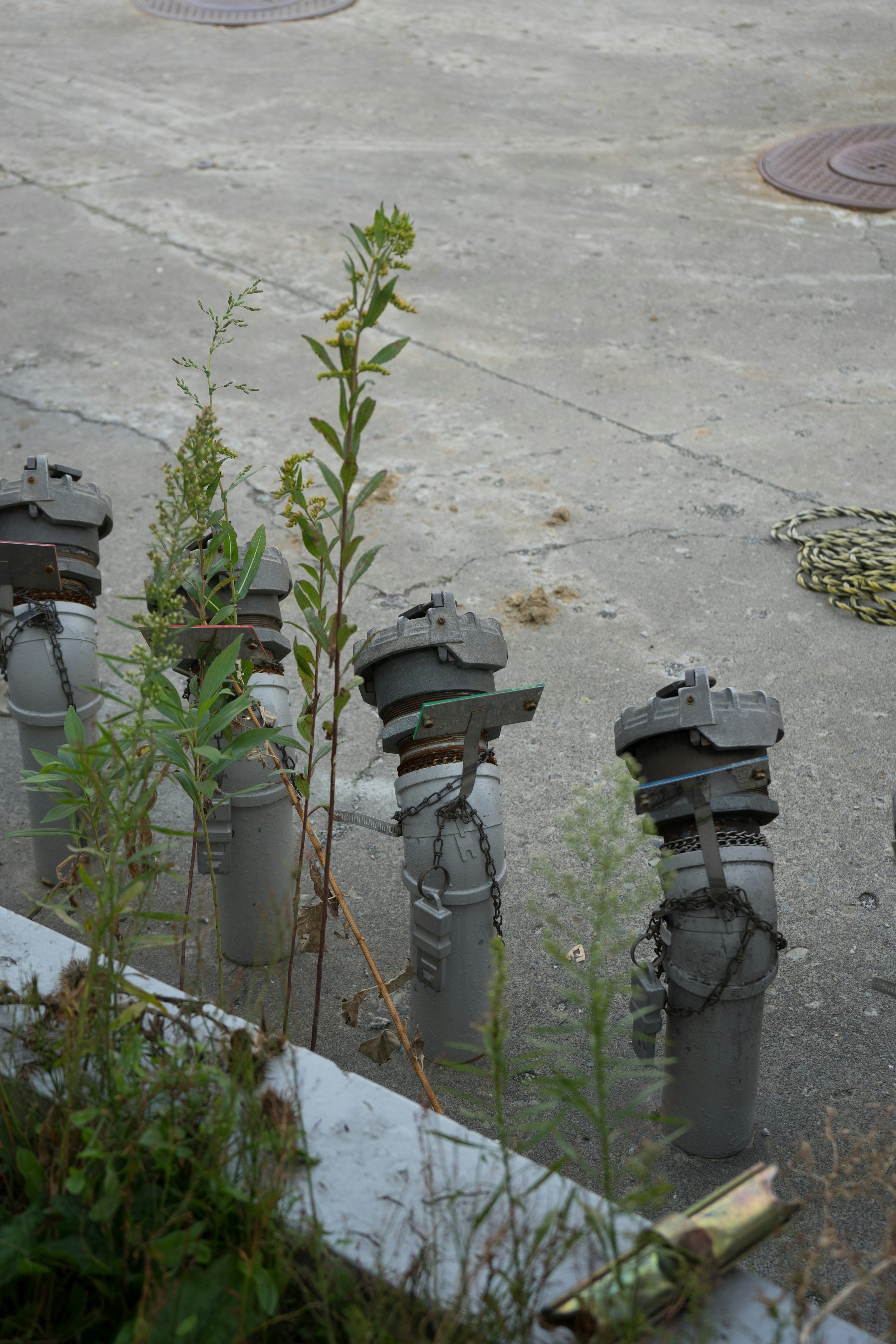 Gray concrete pillars standing on a concrete surface with green plants growing around