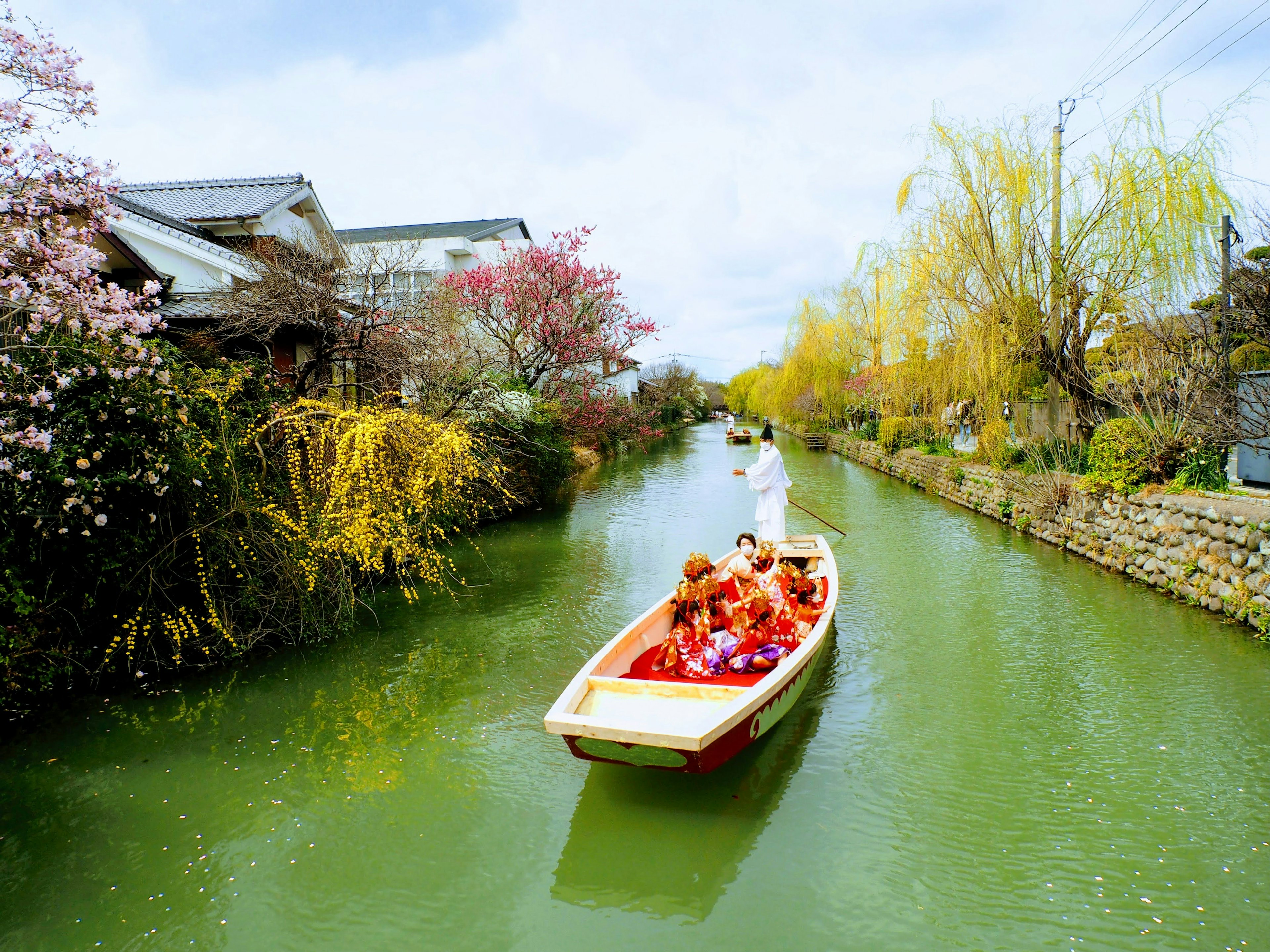 Bateau traditionnel sur un canal vert entouré de cerisiers en fleurs