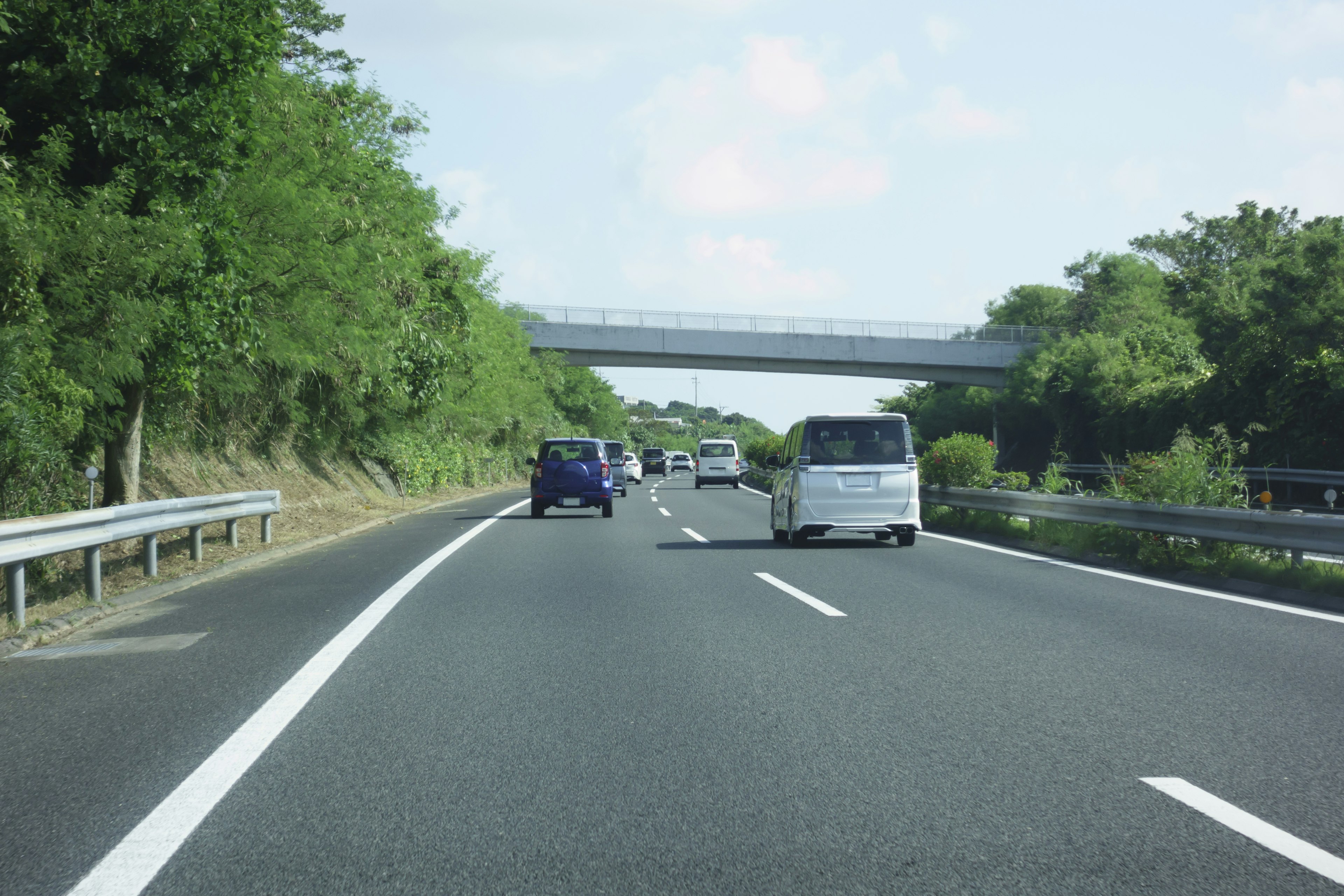 Scena autostradale circondata da alberi verdi con veicoli in movimento