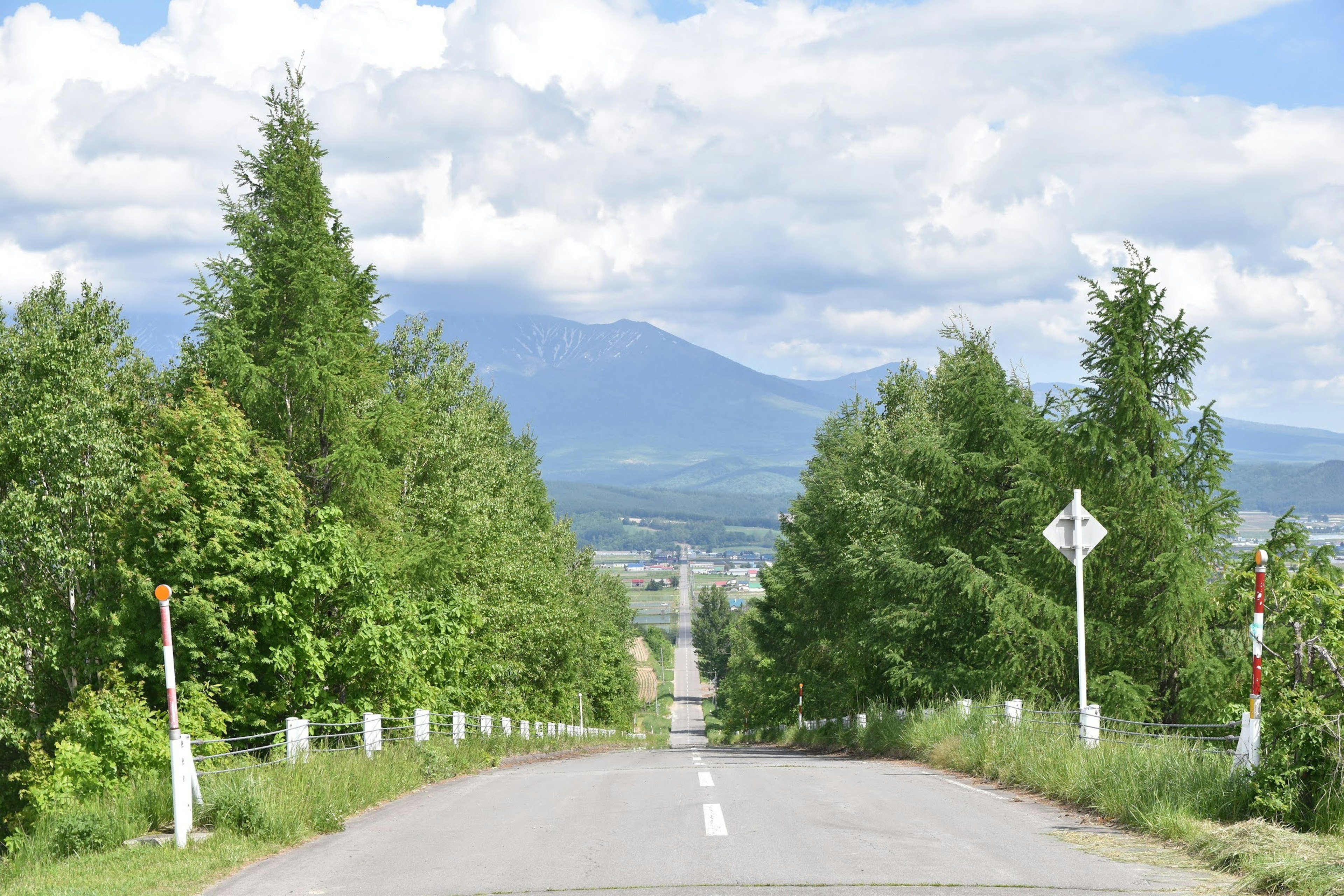 Une route entourée d'arbres verts menant vers des montagnes lointaines