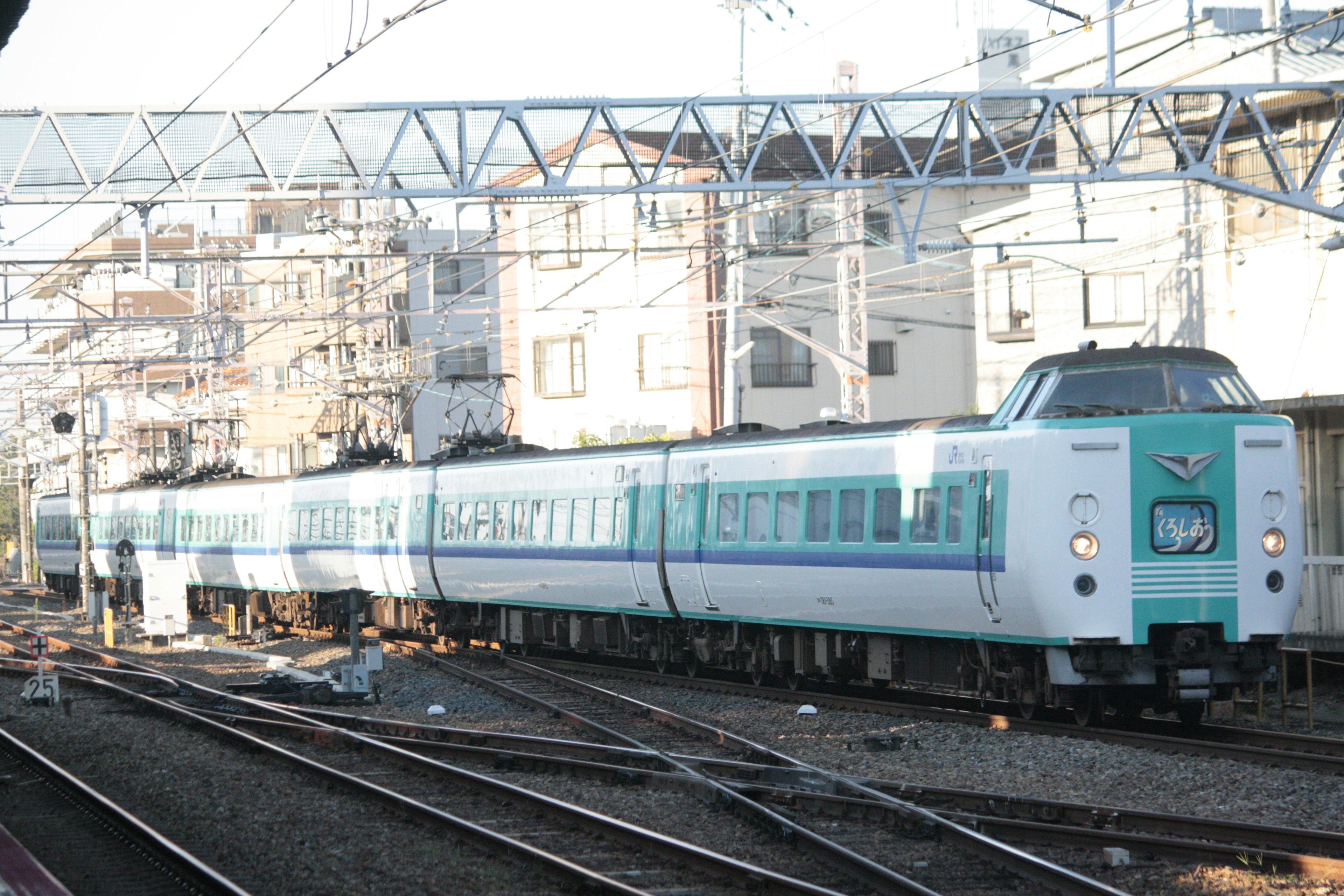 青と白のカラーリングの列車が駅に停車している