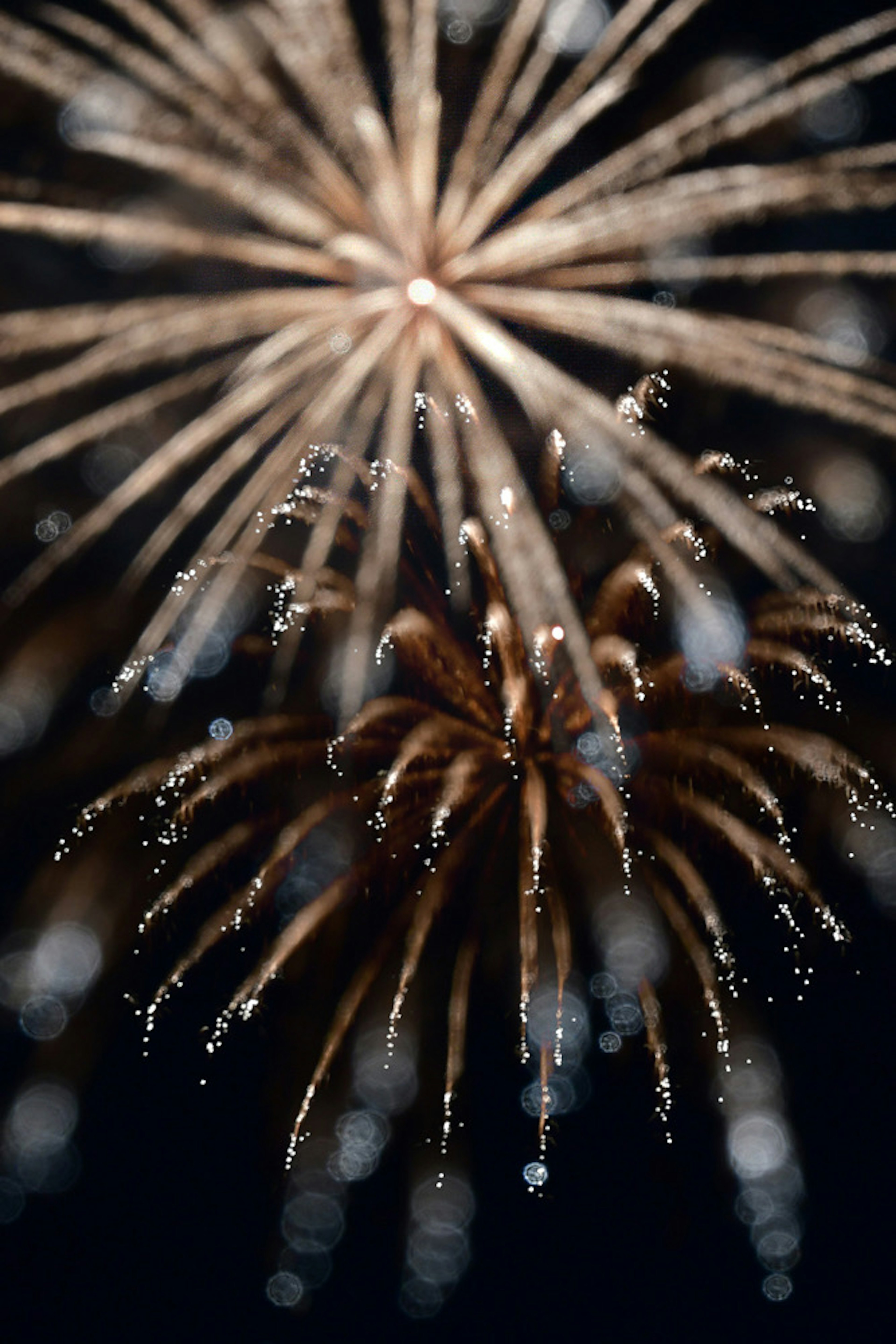 Un'esplosione di fuochi d'artificio nel cielo notturno con effetti scintillanti