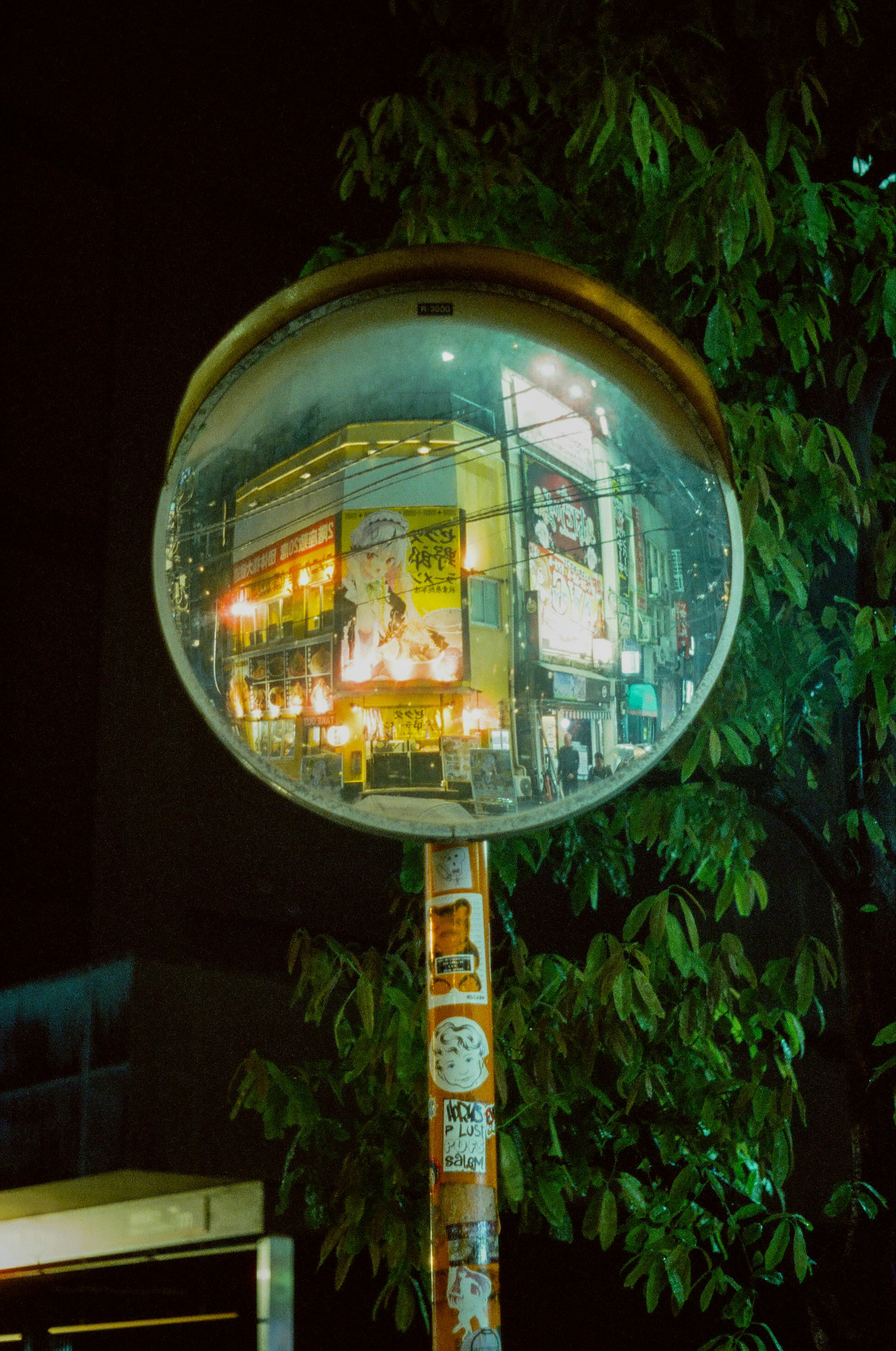 Round mirror reflecting city lights at night with green foliage