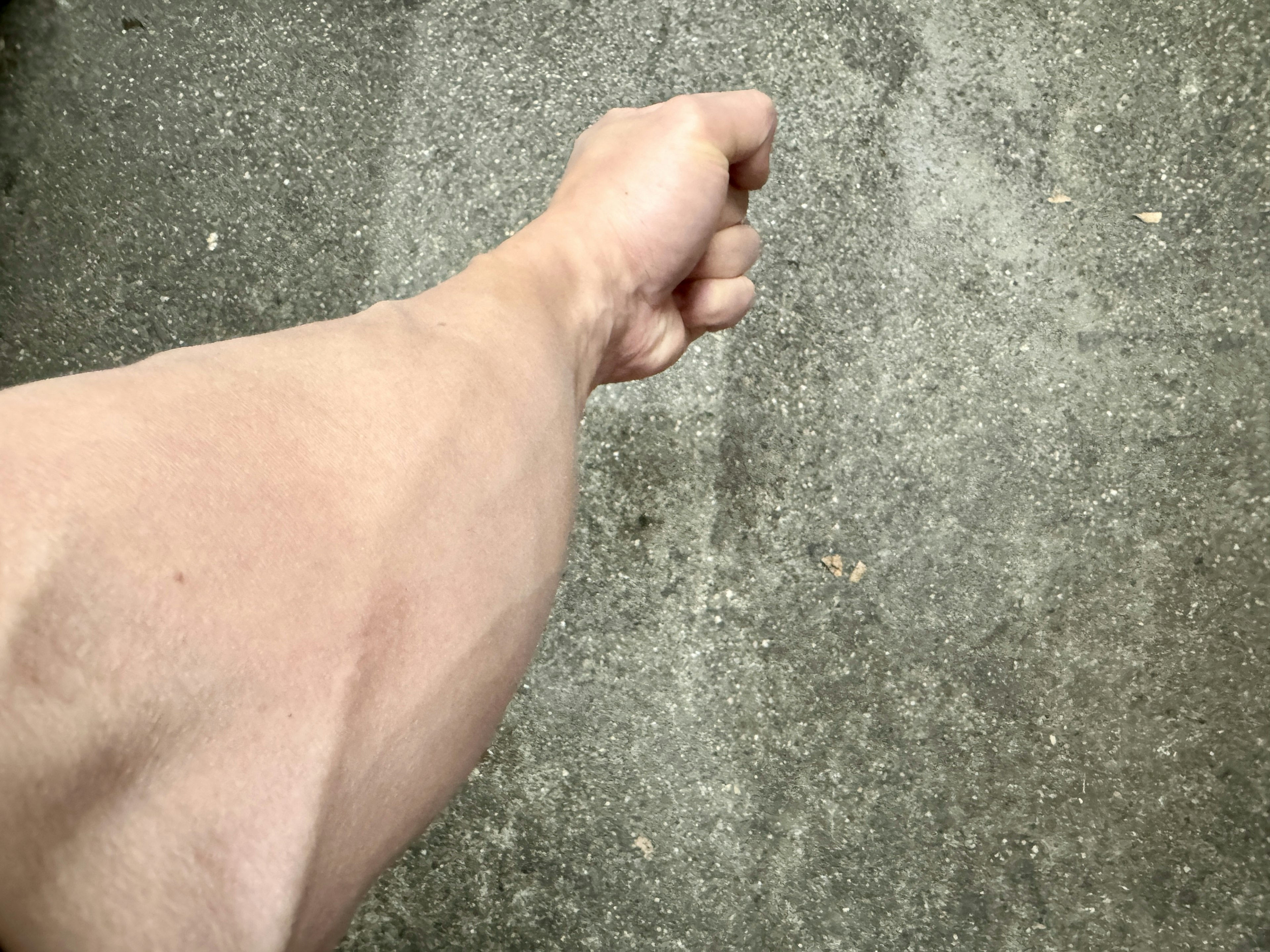 Muscular arm with a clenched fist extended forward