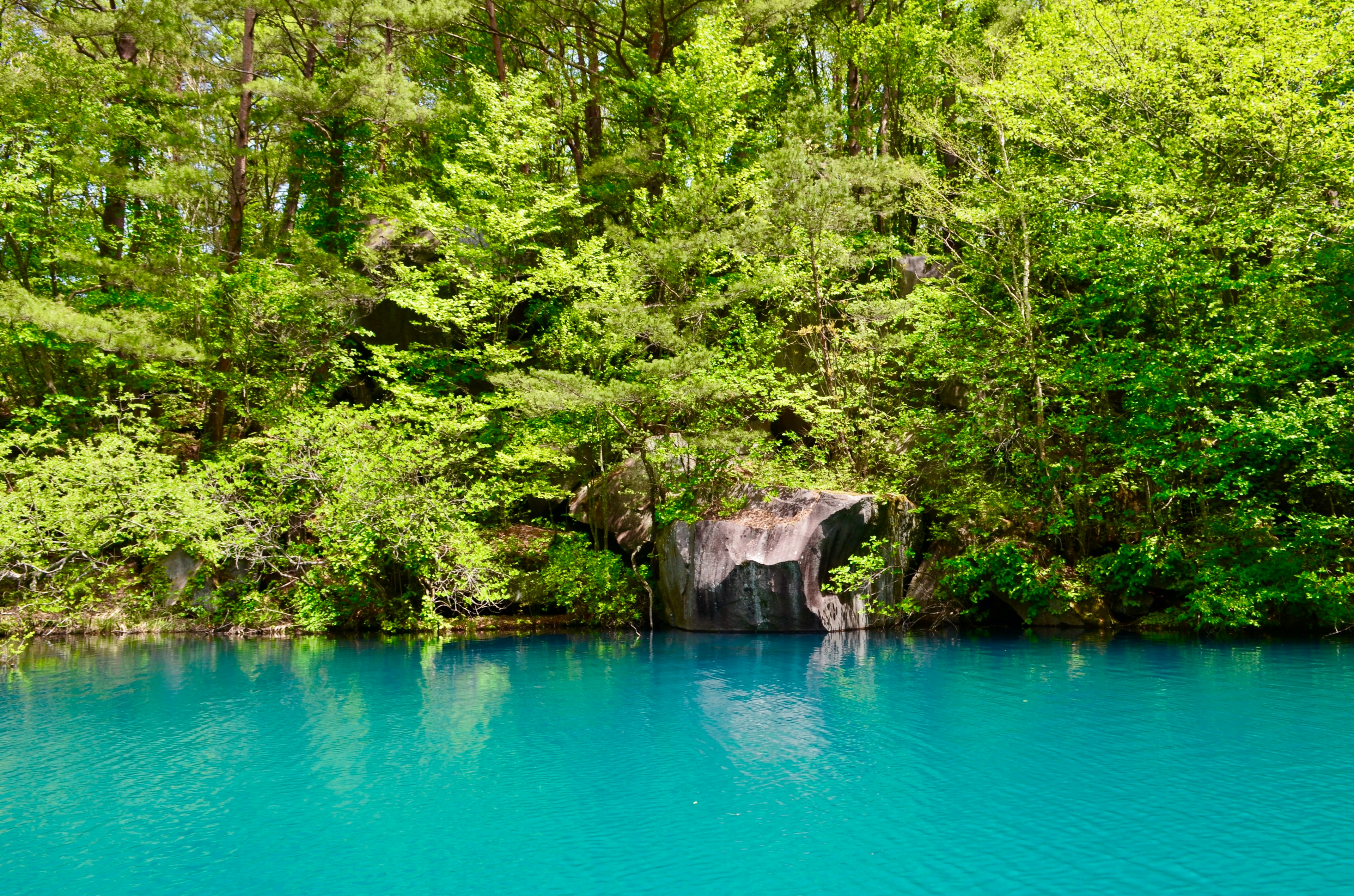 A small waterfall surrounded by vibrant green trees and clear blue water