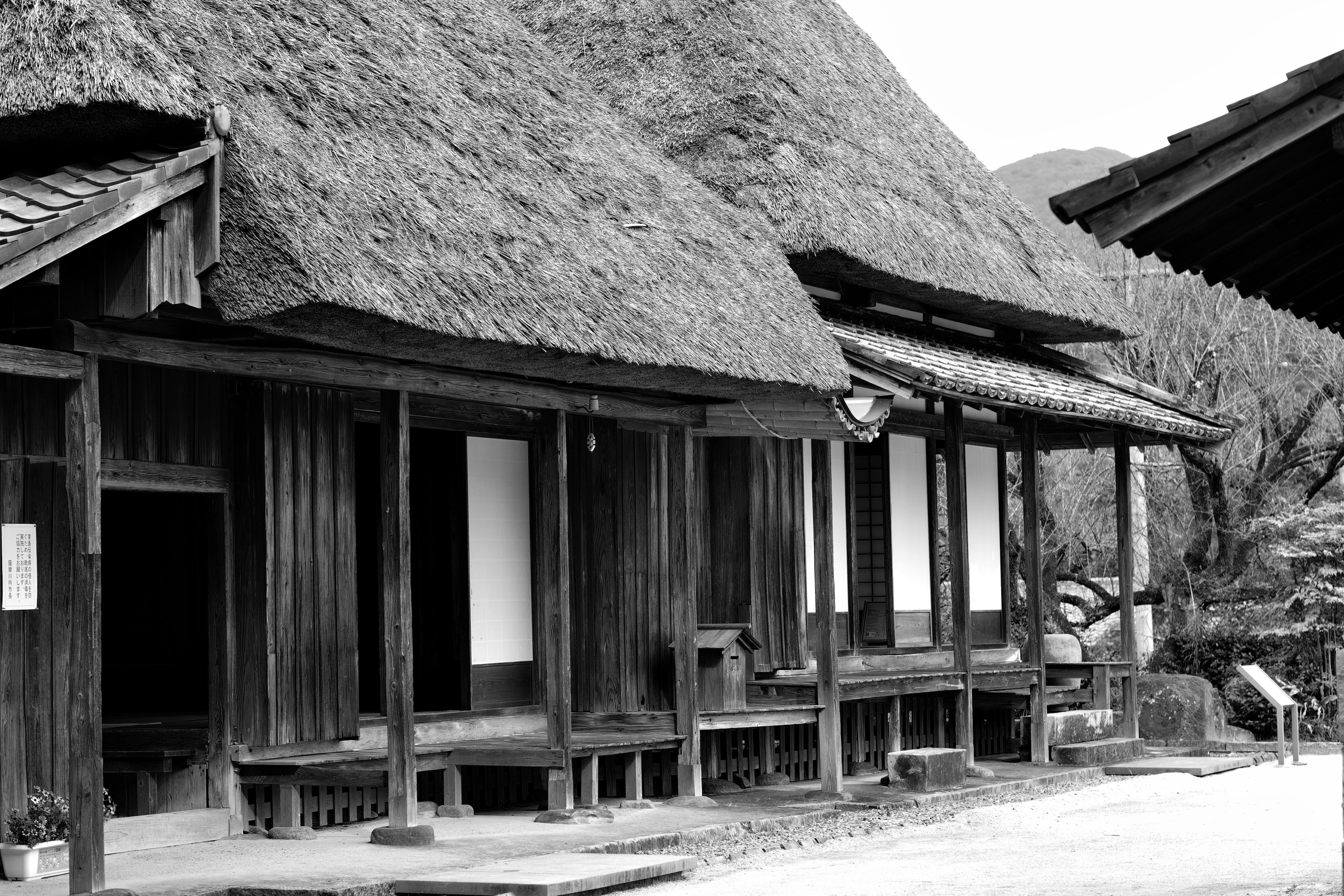 Traditional Japanese thatched-roof houses in a serene setting