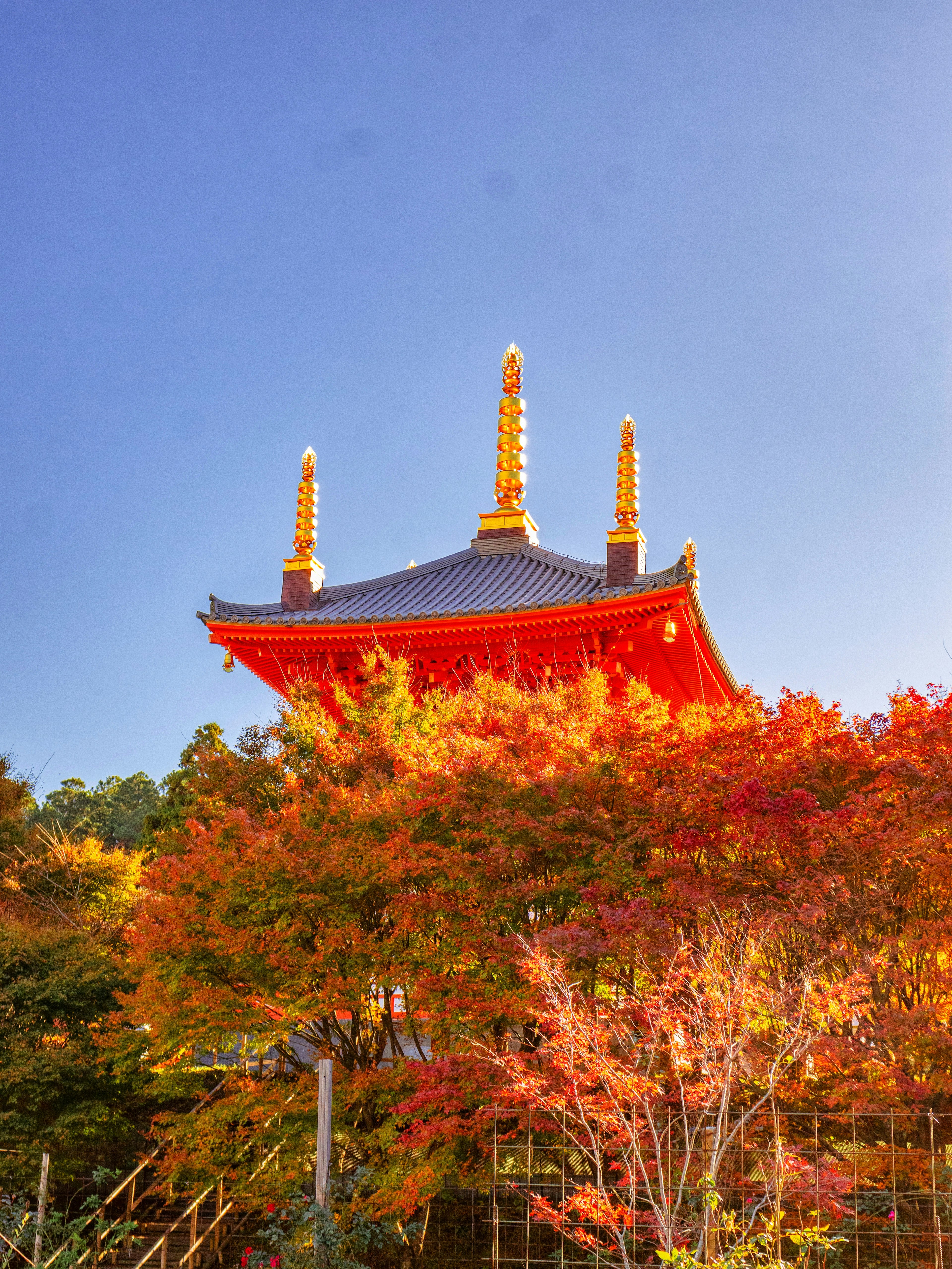 Templo japonés con agujas doradas rodeado de vibrante follaje otoñal