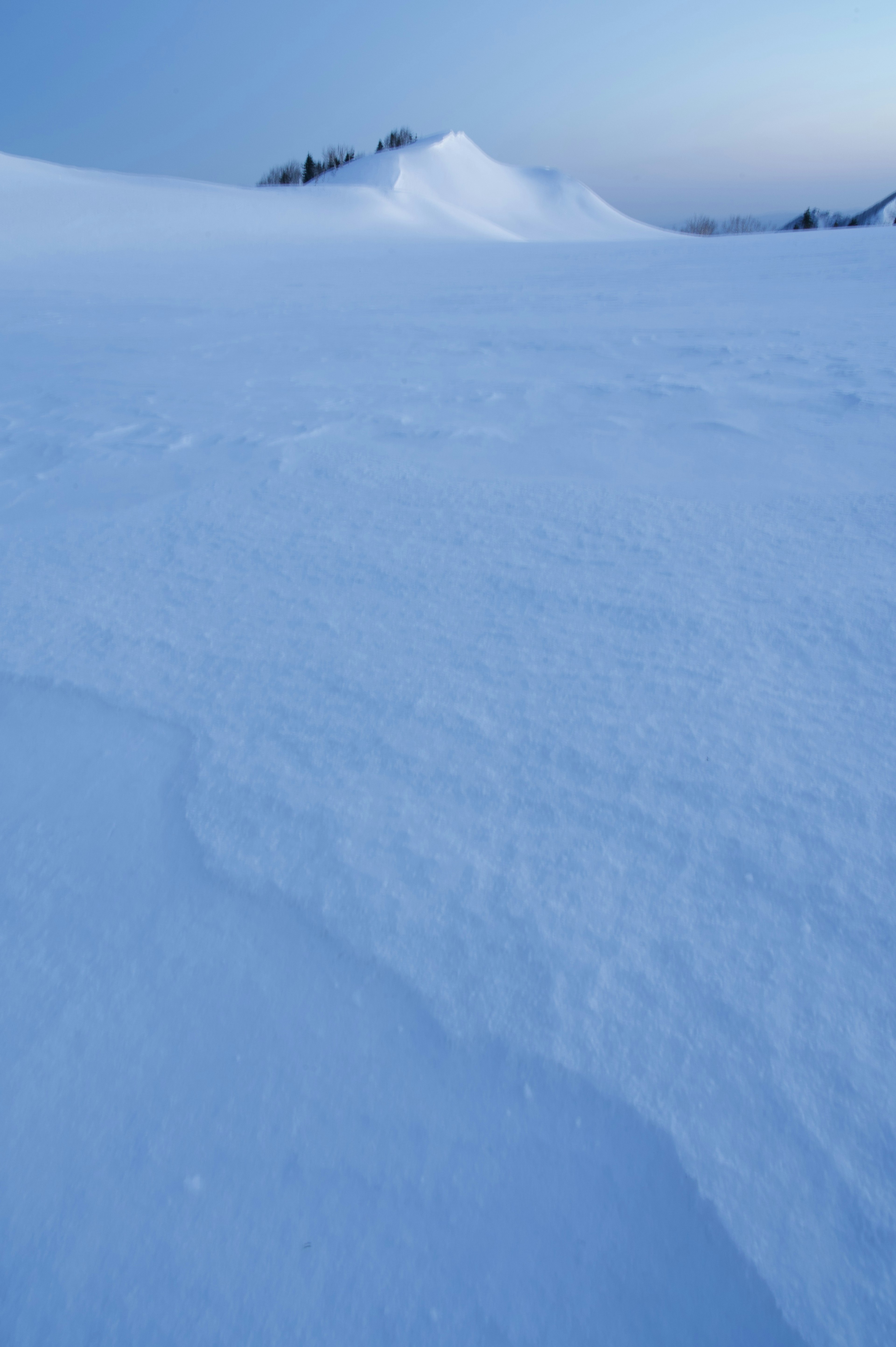 A tranquil morning landscape covered in snow