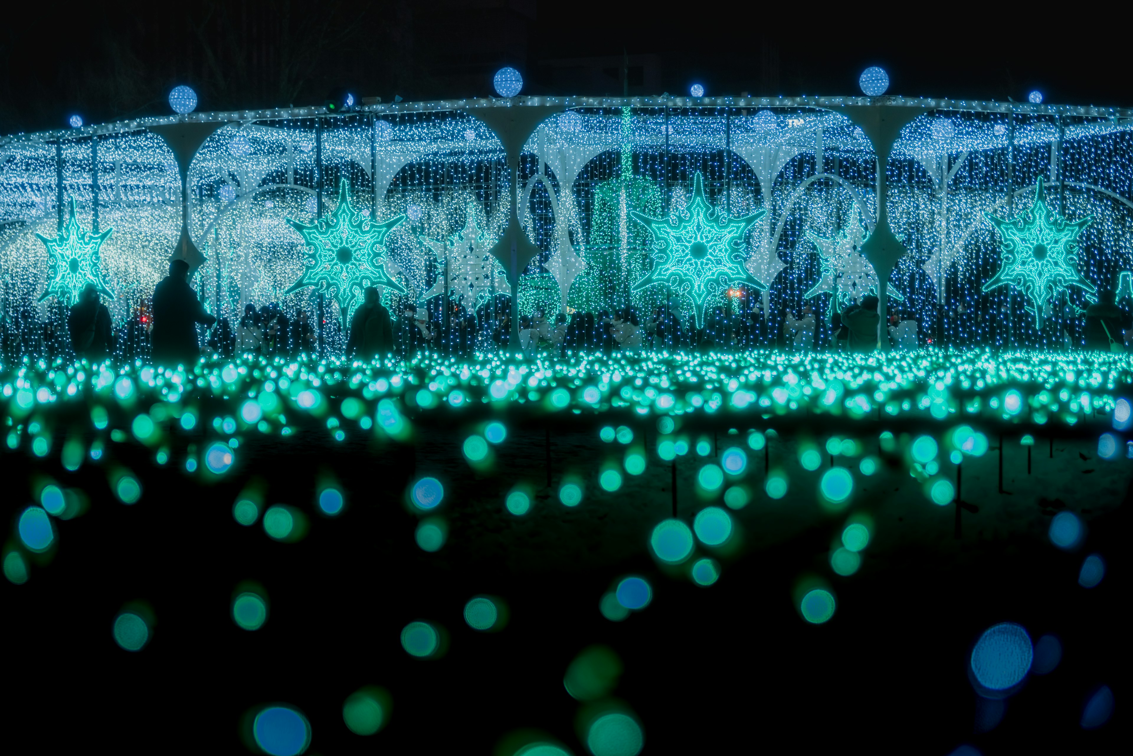 Una hermosa exhibición de luces azul verdosas en un paisaje iluminado