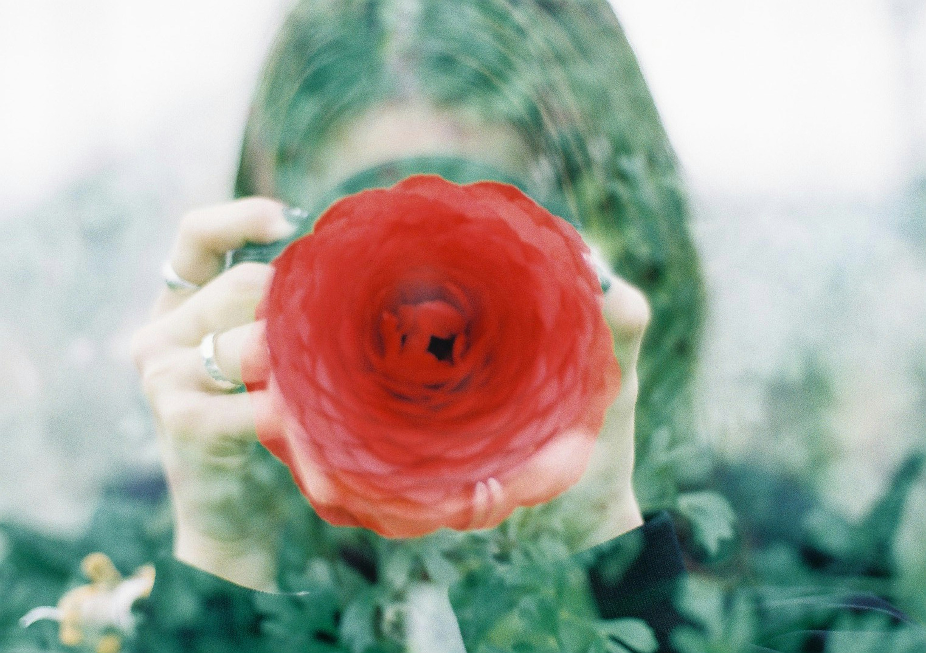 Mujer sosteniendo una flor roja mientras apunta una cámara hacia el espectador