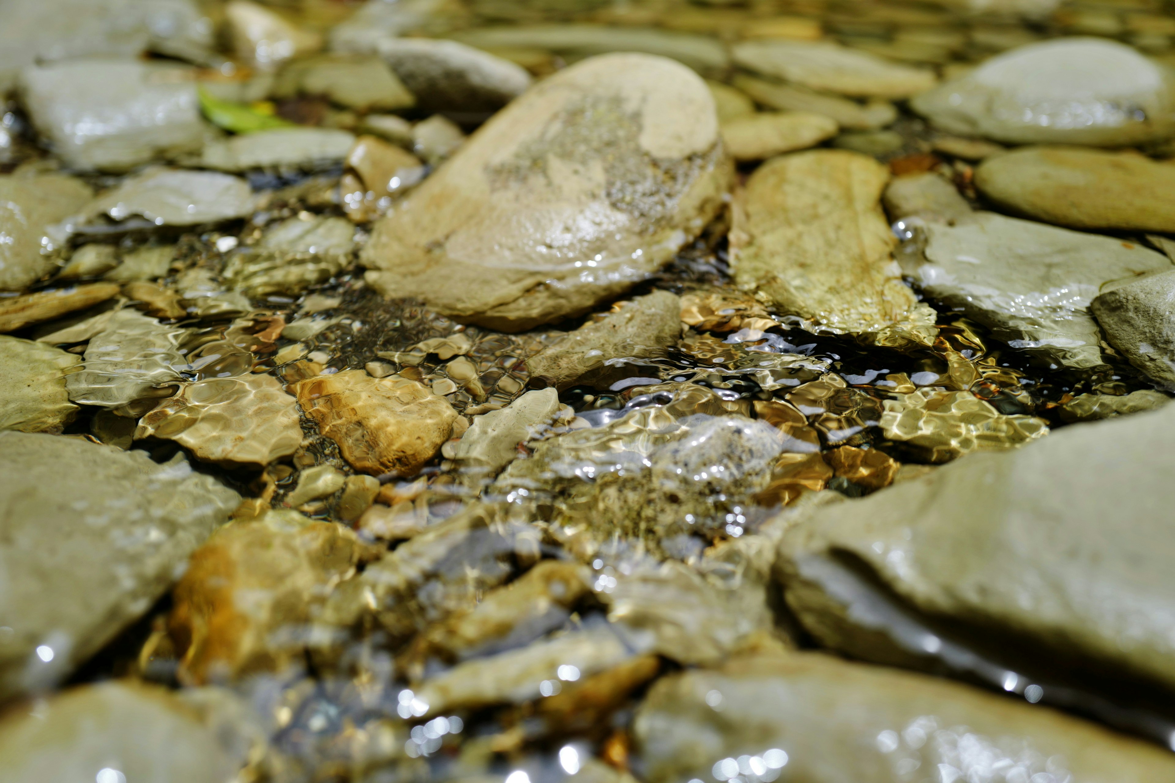 Close-up of stones in water various shapes and colors of stones visible