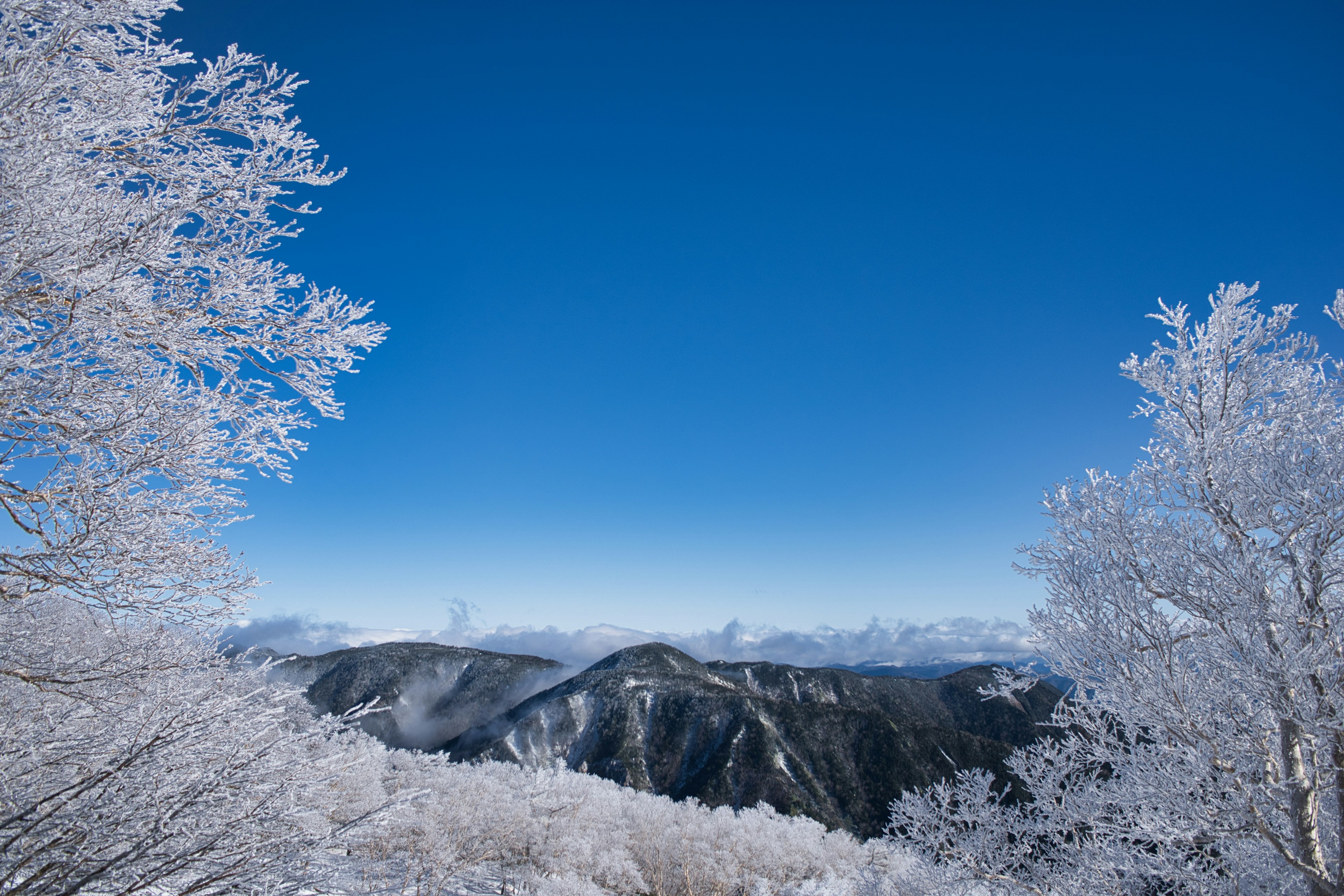 Winterlandschaft mit schneebedeckten Bäumen und klarem blauen Himmel