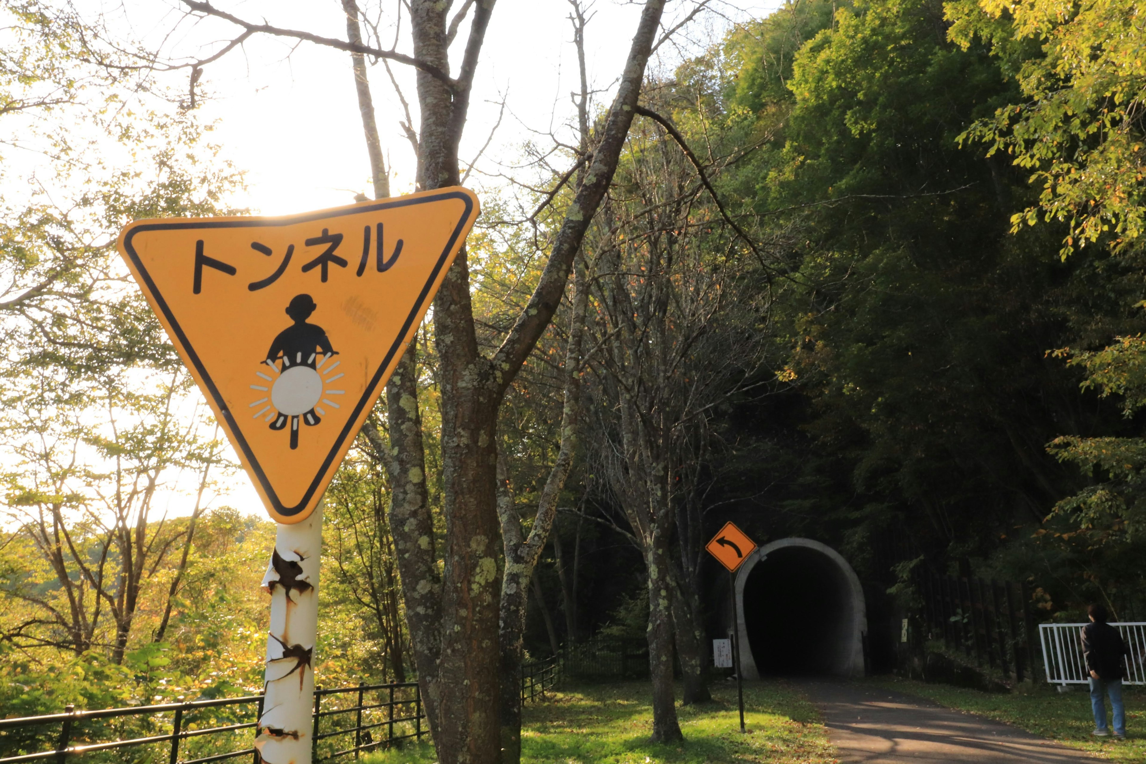 トンネルの標識と緑の木々が並ぶ風景