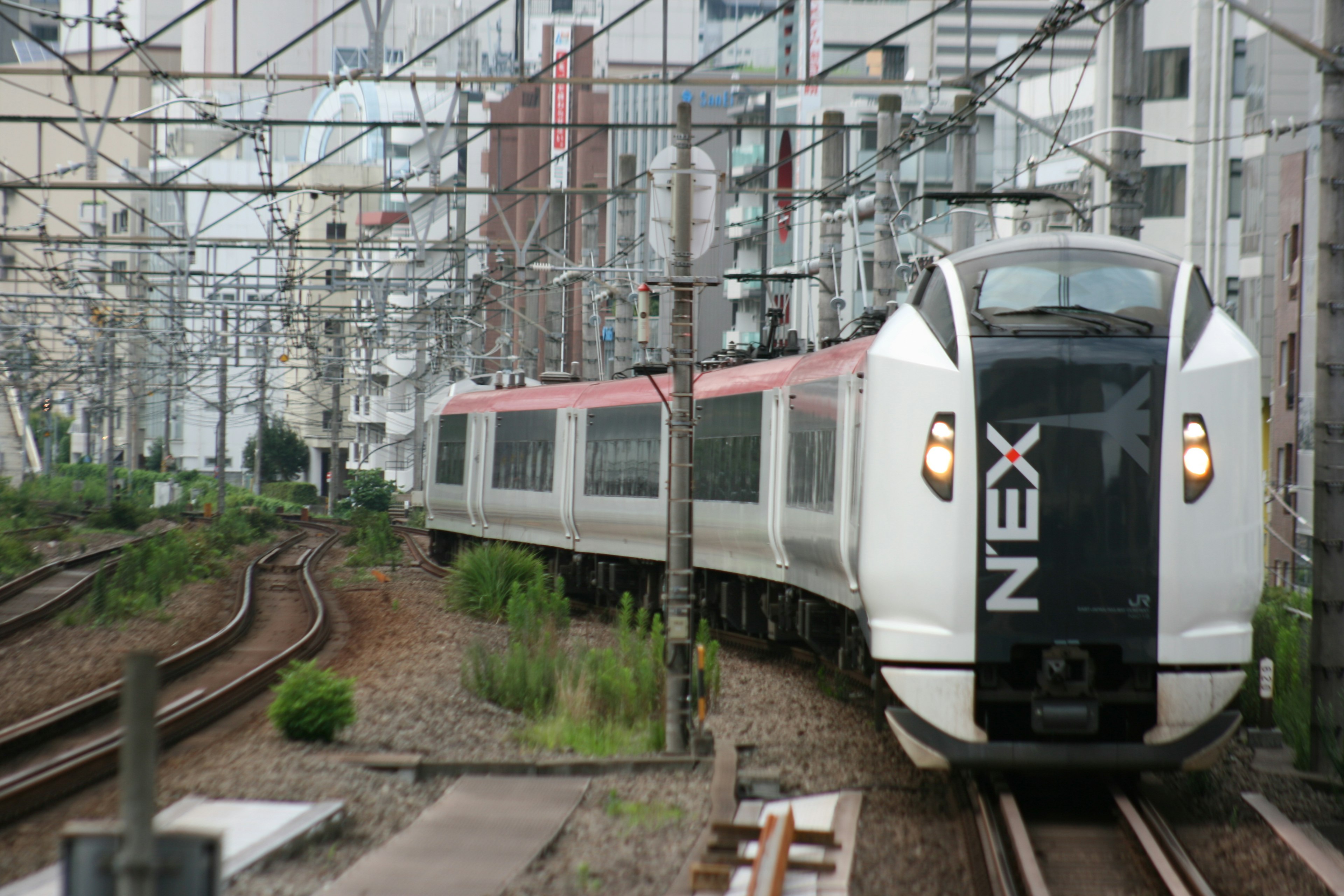 NEX Shinkansen train running through an urban railway setting