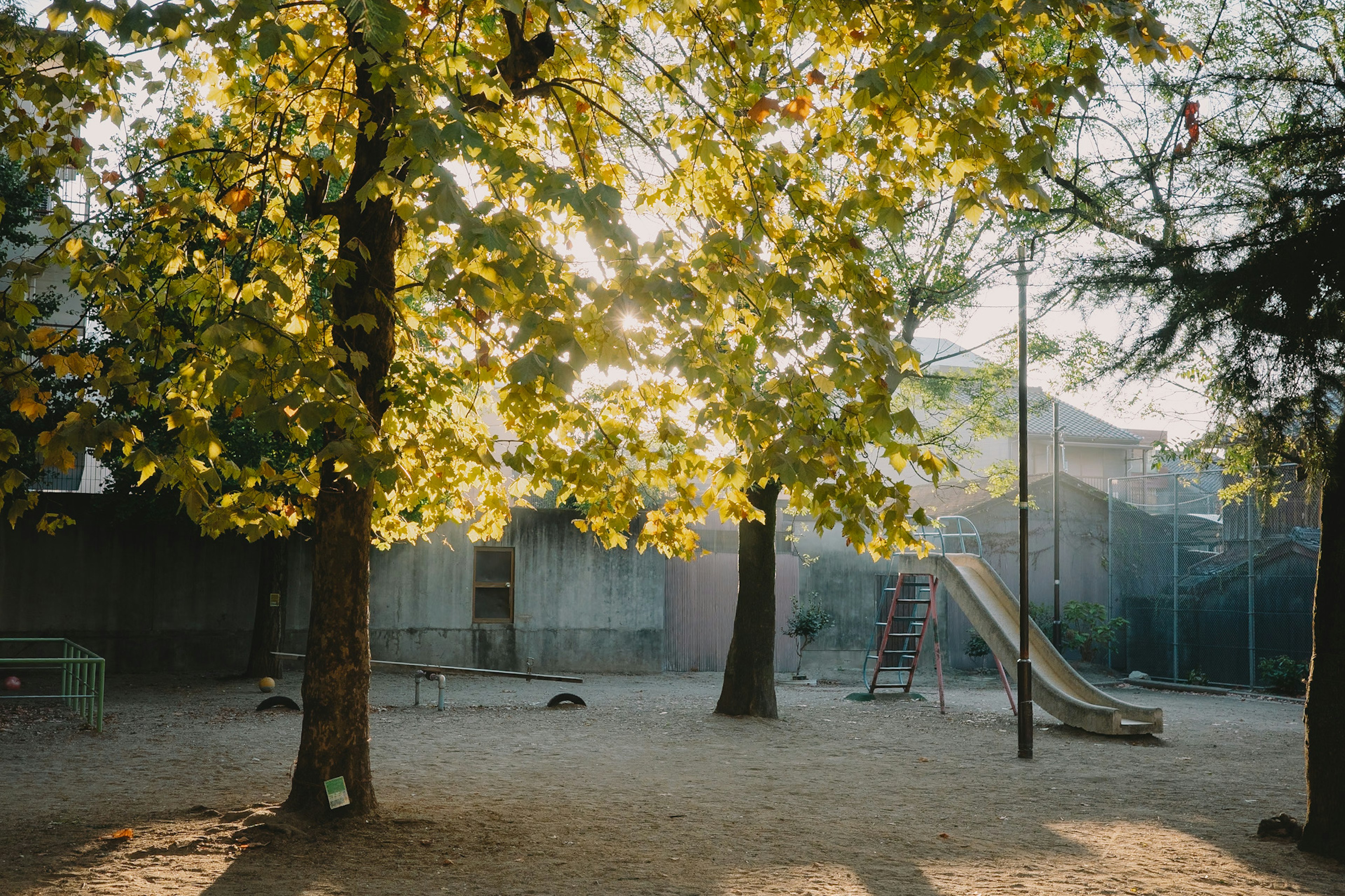 Playground with yellow-leaved trees and a slide