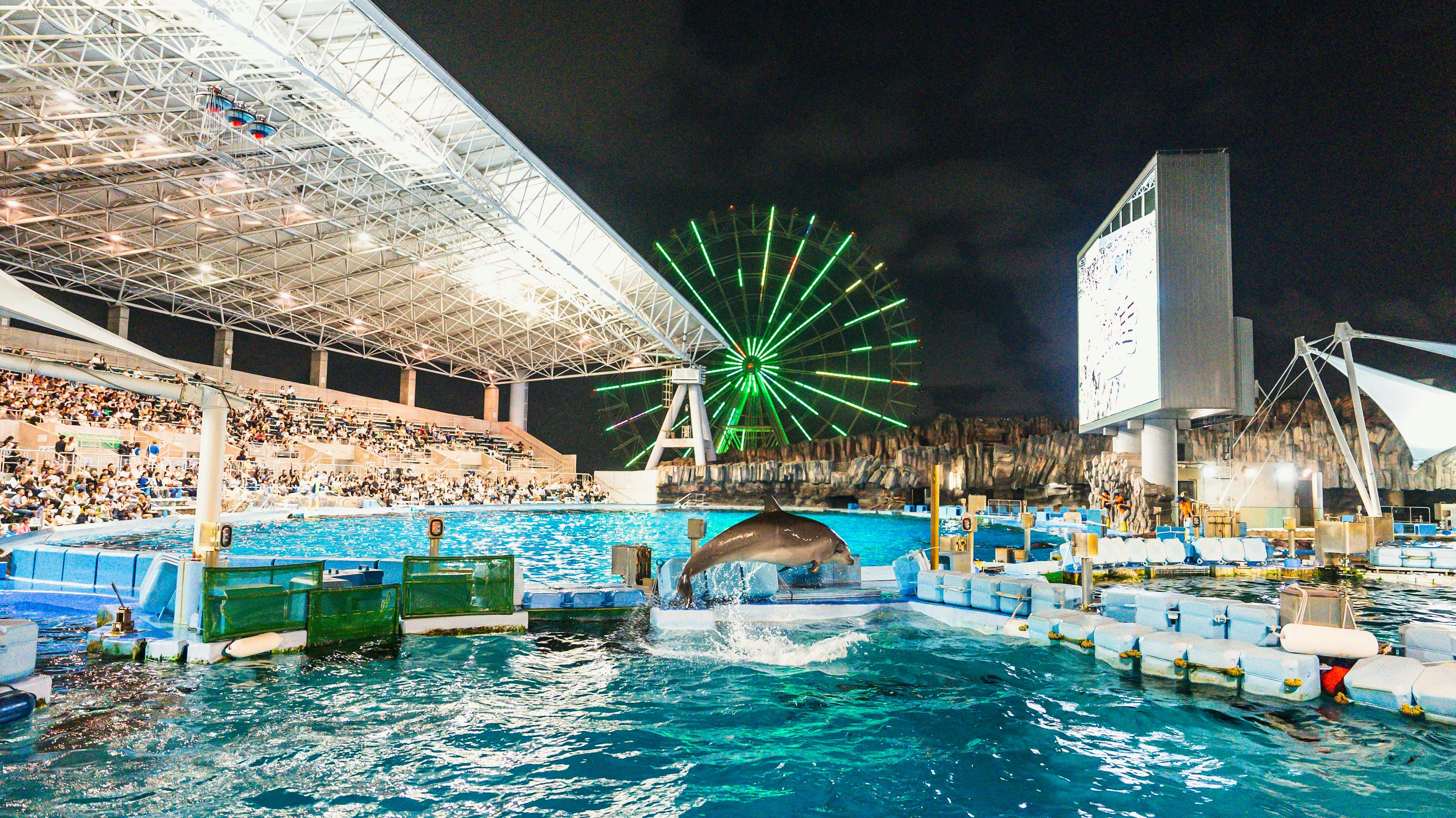 夜間水族館內有海豚表演，觀眾席和背景中的大型摩天輪