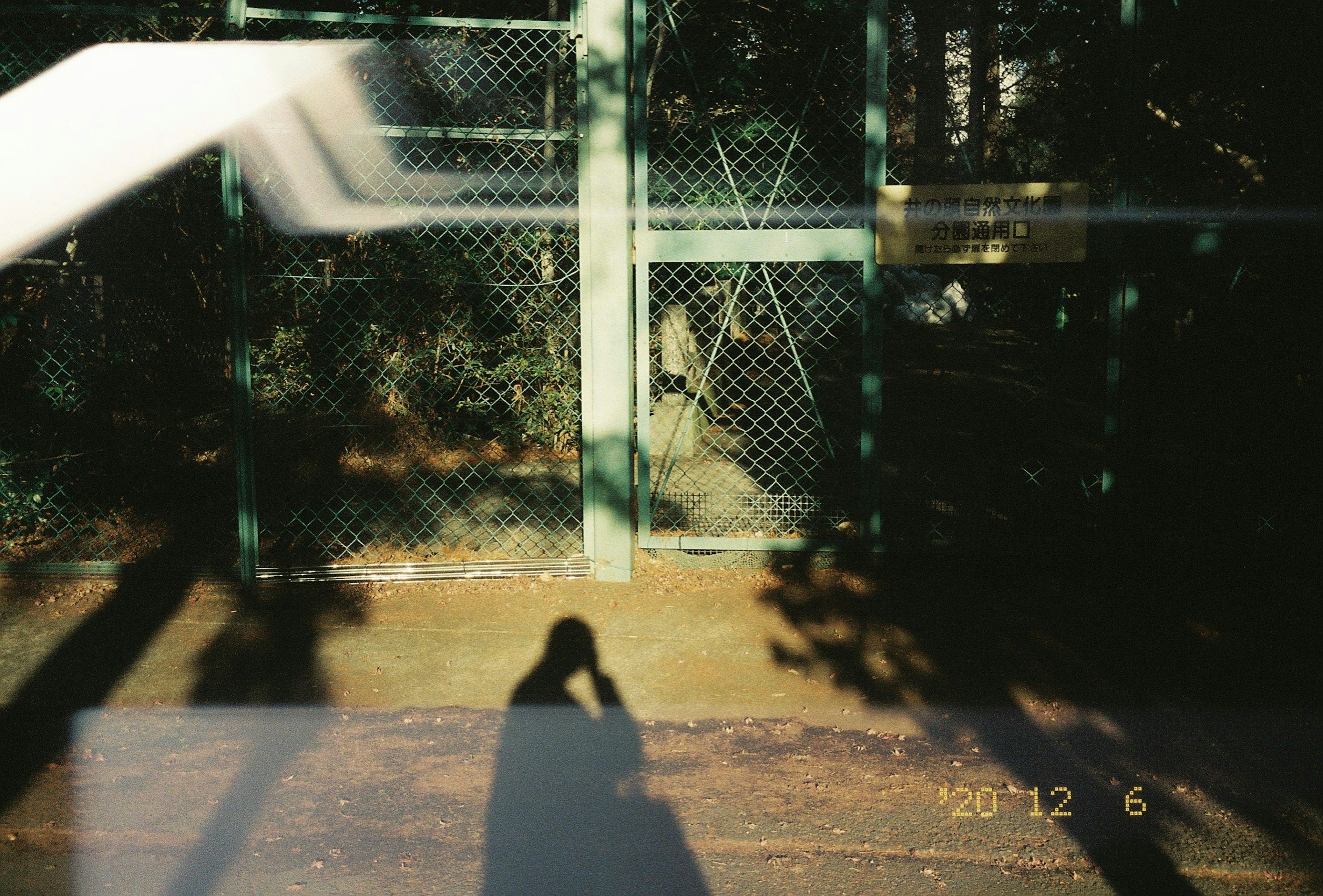 Shadow cast on a green fence with natural background