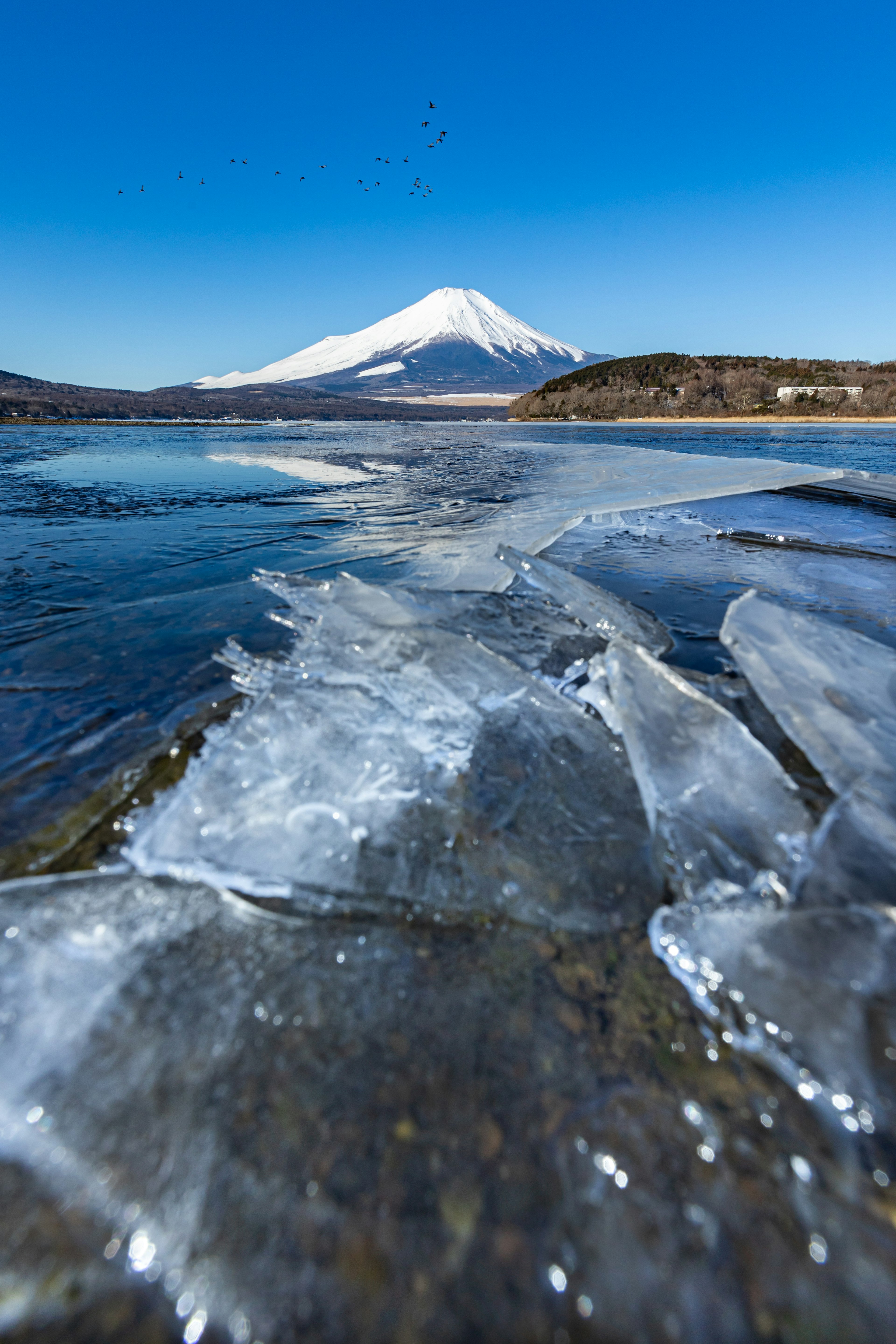 富士山の美しい雪景色と氷の破片が広がる湖