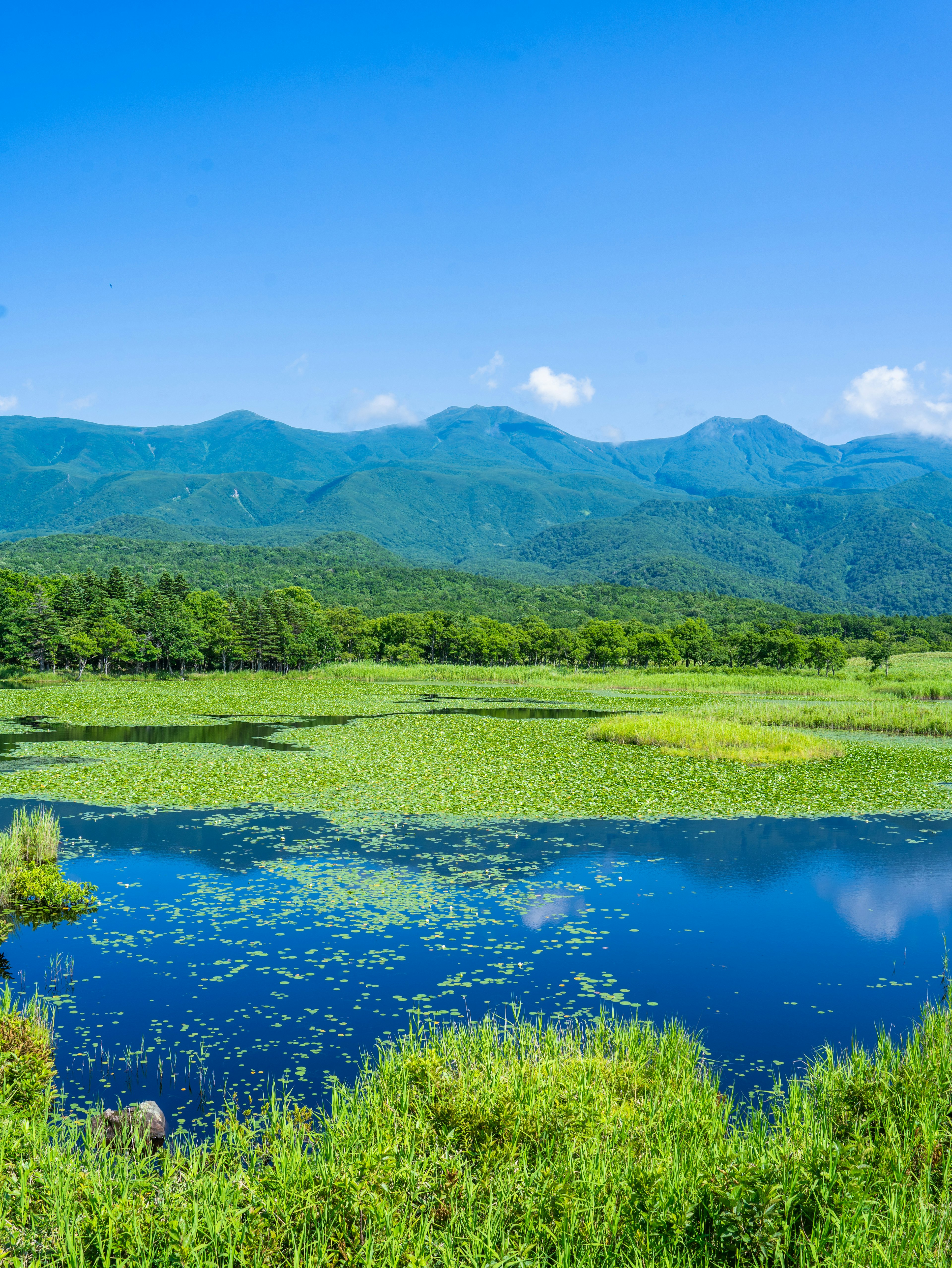 Hermoso paisaje de humedal rodeado de montañas verdes y cielo azul