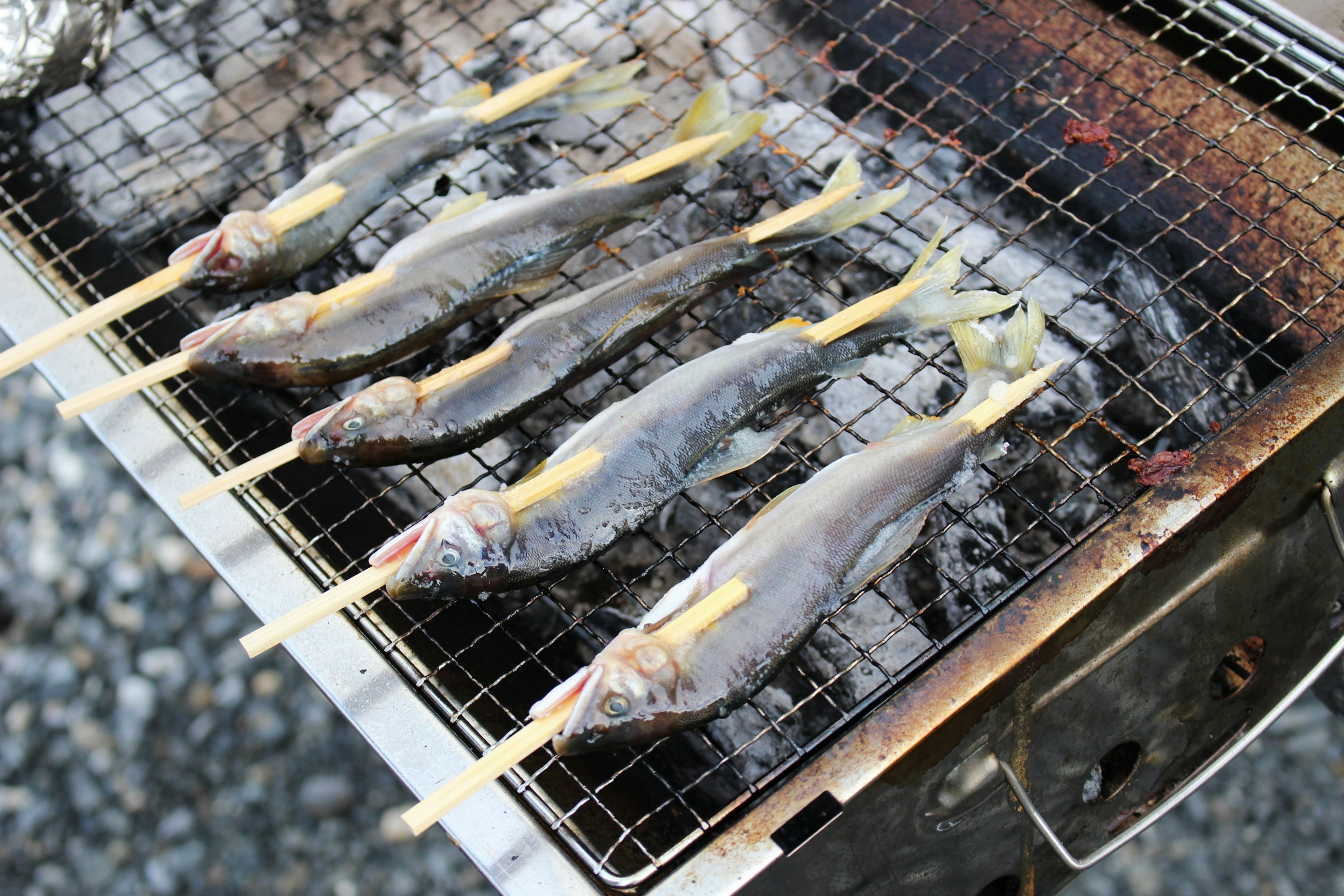 Spiedini di pesce grigliati disposti su una griglia