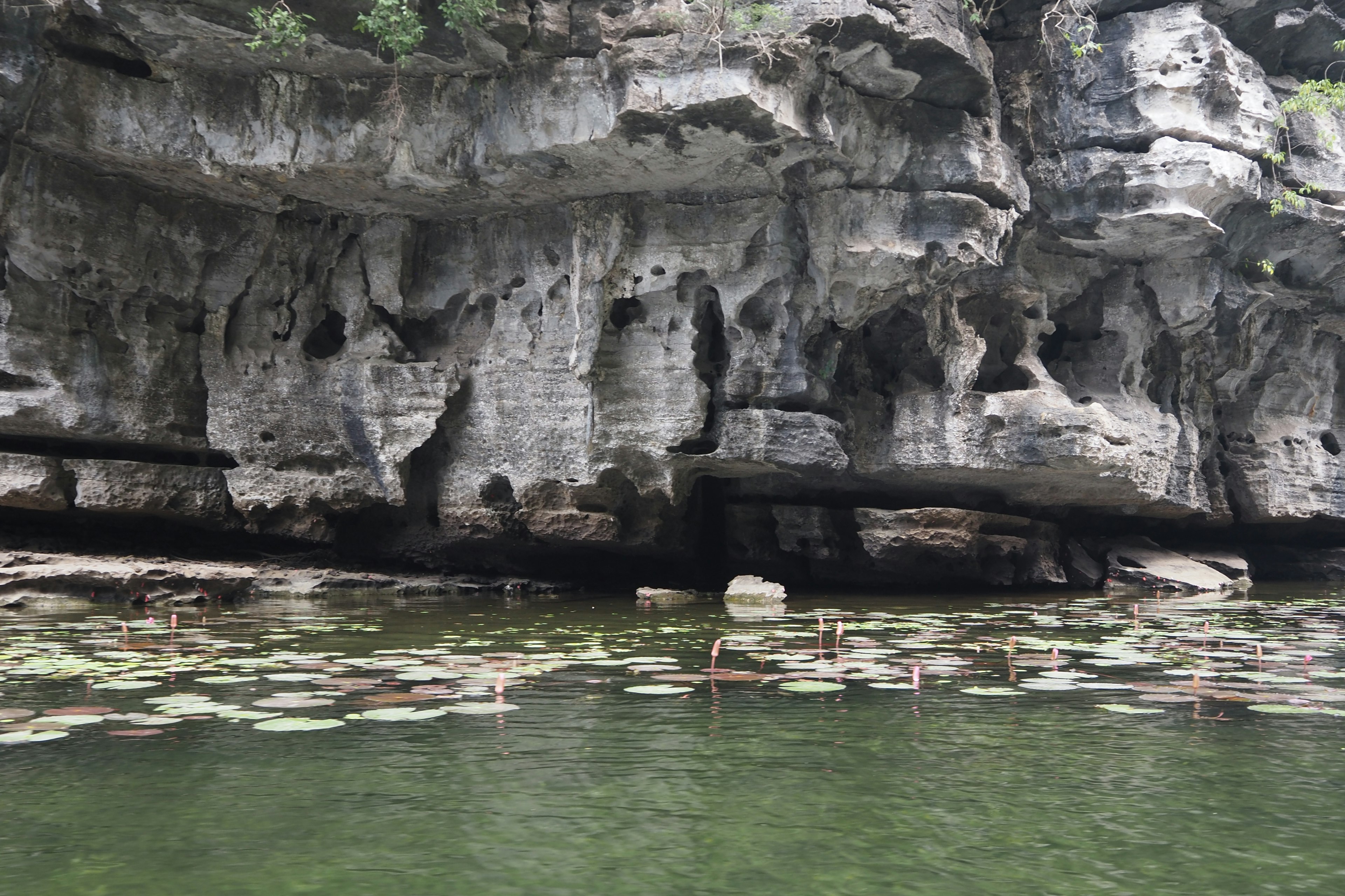 Escena de lago serena con acantilados rocosos y lirios de agua flotantes