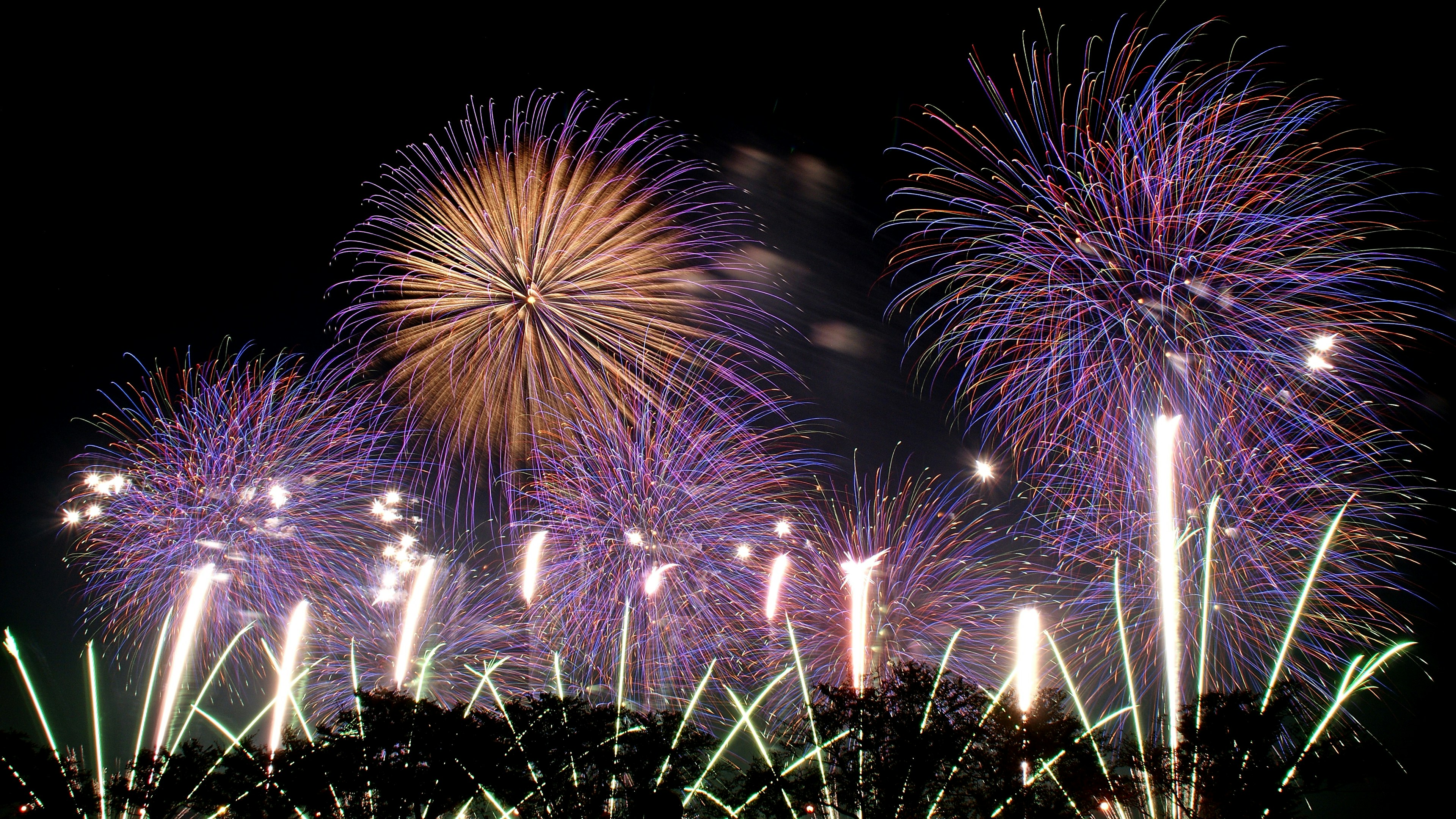 Fuochi d'artificio colorati esplodono nel cielo notturno